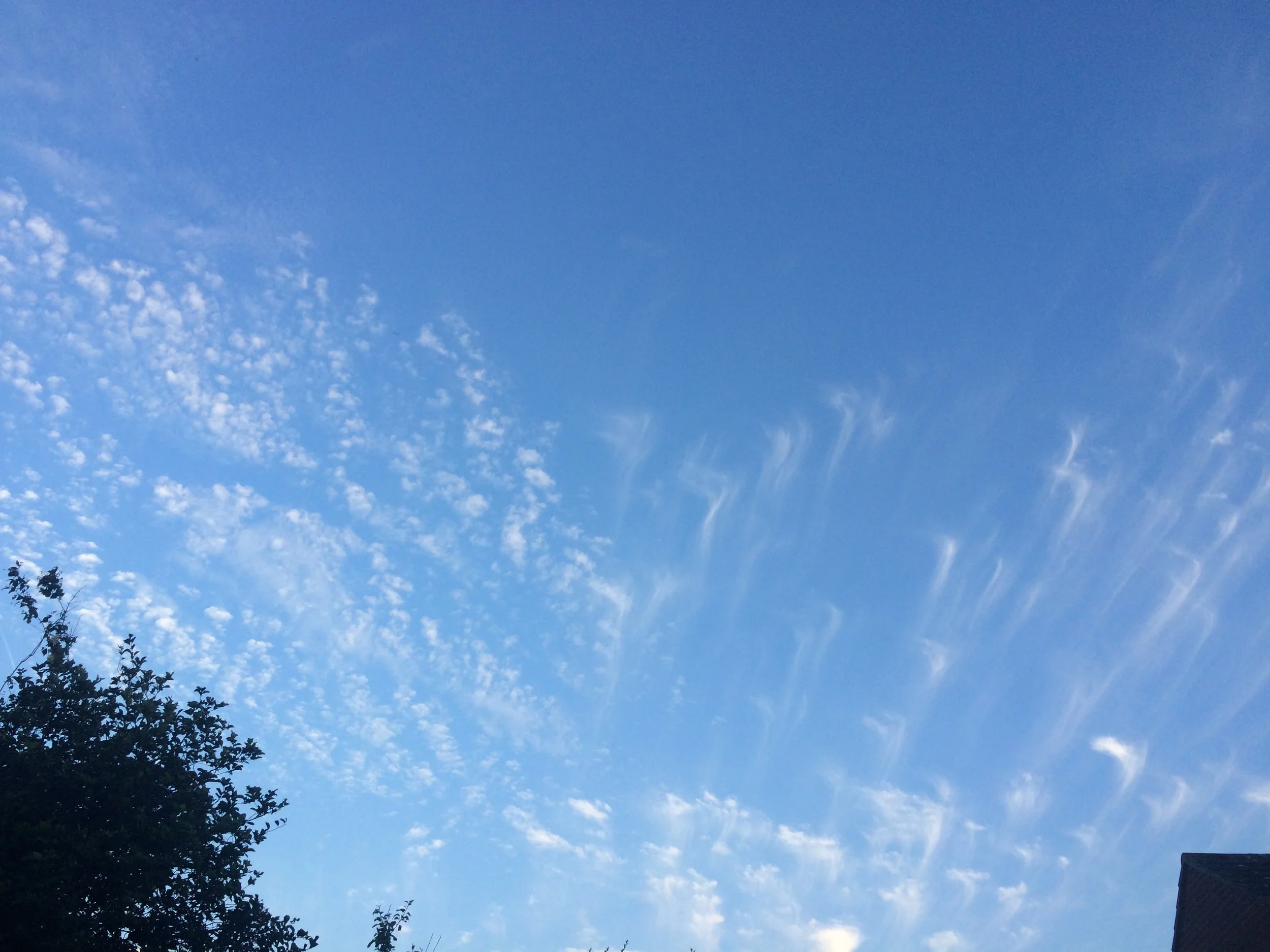 Look up!