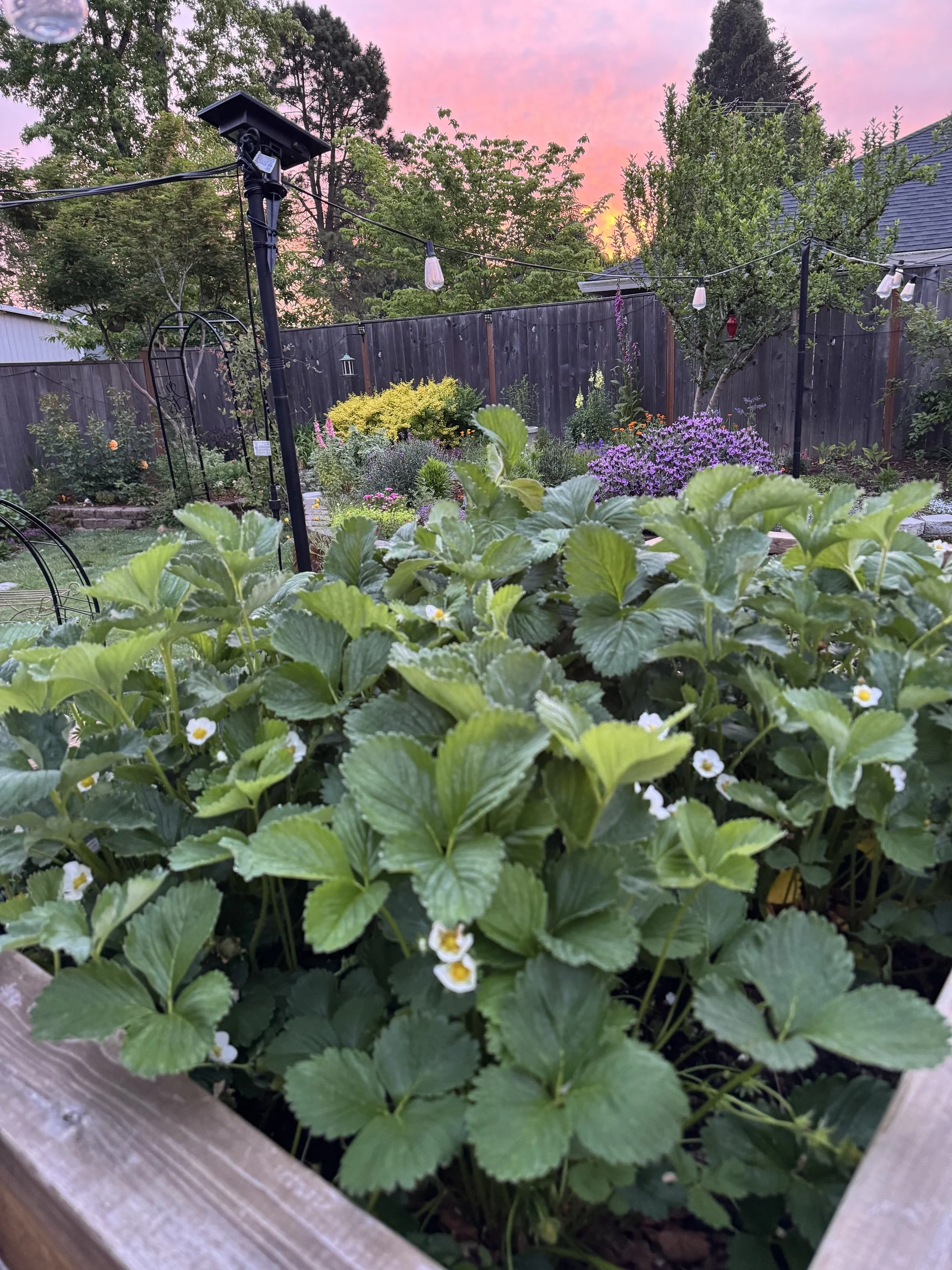 image1 (3).jpeg