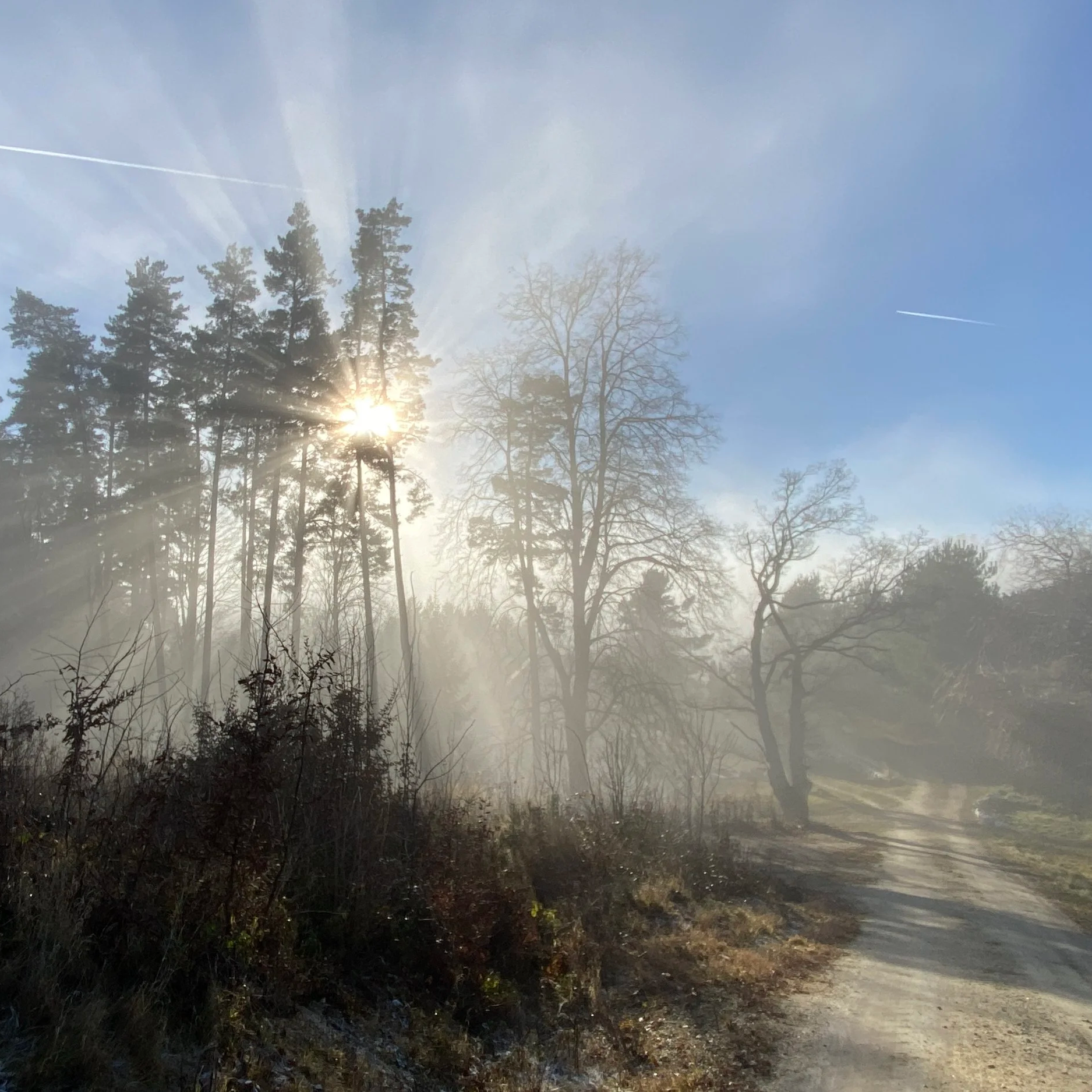 Basenfasten%2BHerbst%2BHochwolkersdorf.png