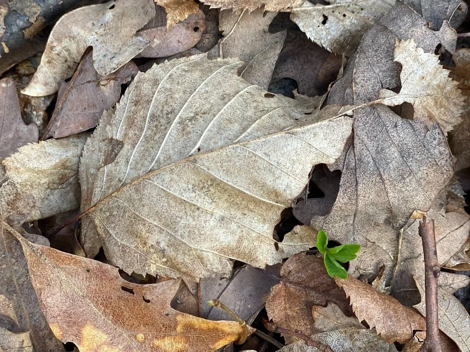 Herbst in der Steiermark