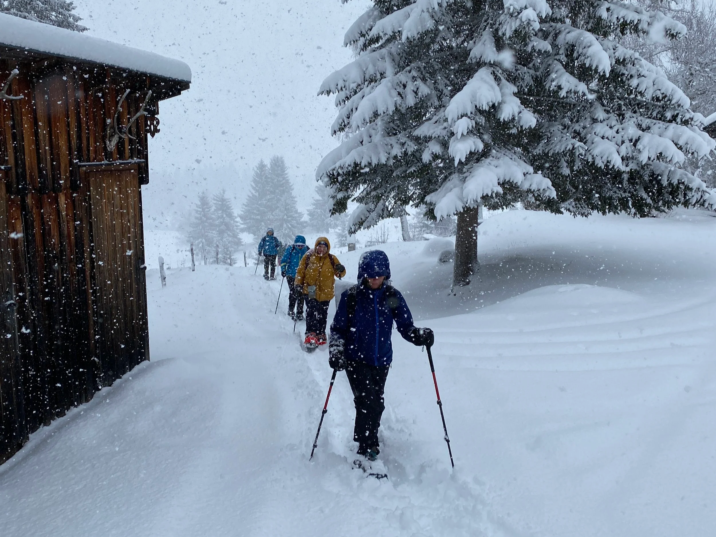 Winterwonderland Tiefschnee Schneeschuhwandern