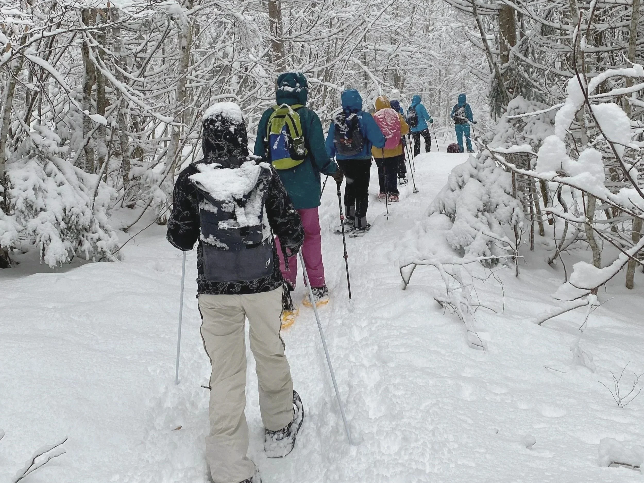 Winter Tiefschnee dicke Flocken Schneeschuh Wandern 