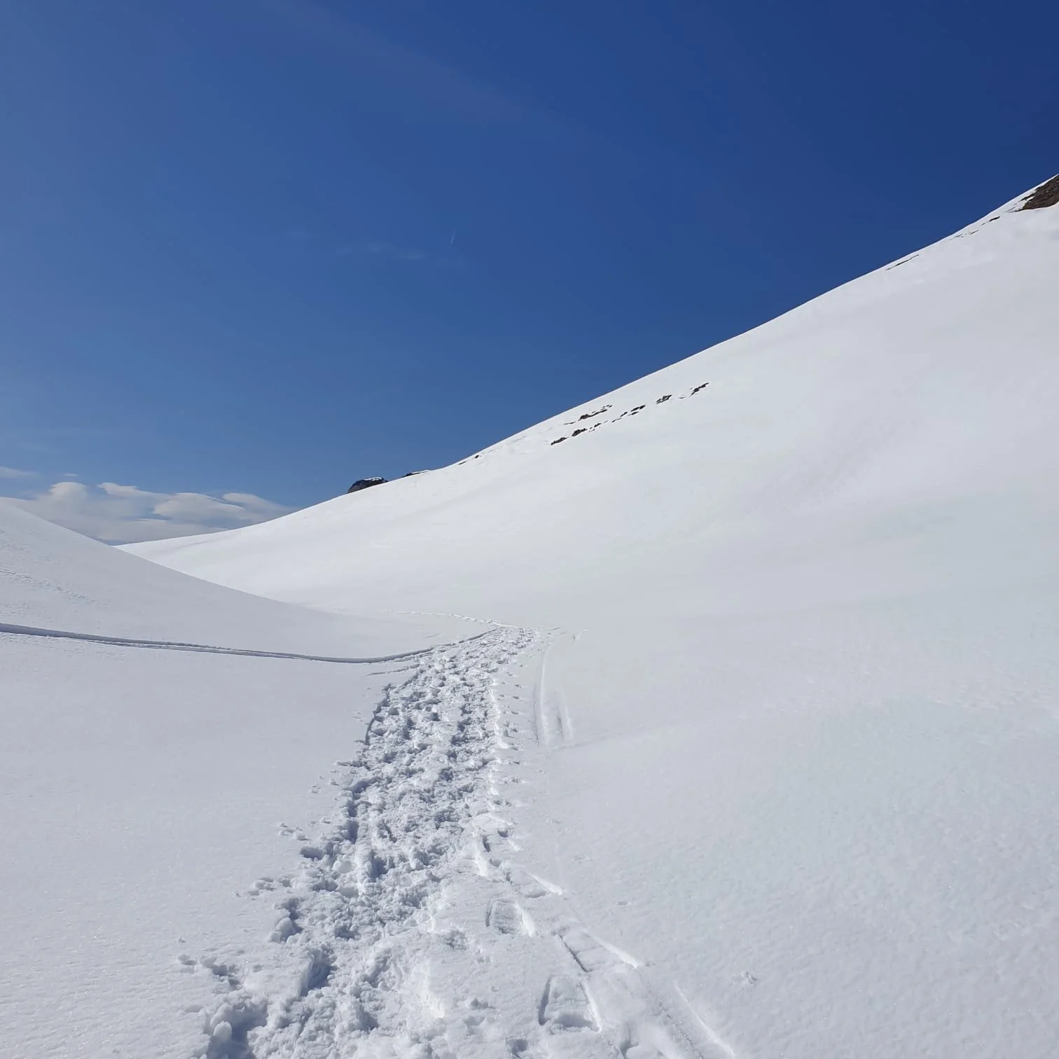 ein weiss verschneiter Berghang mit Schneechuhspuren