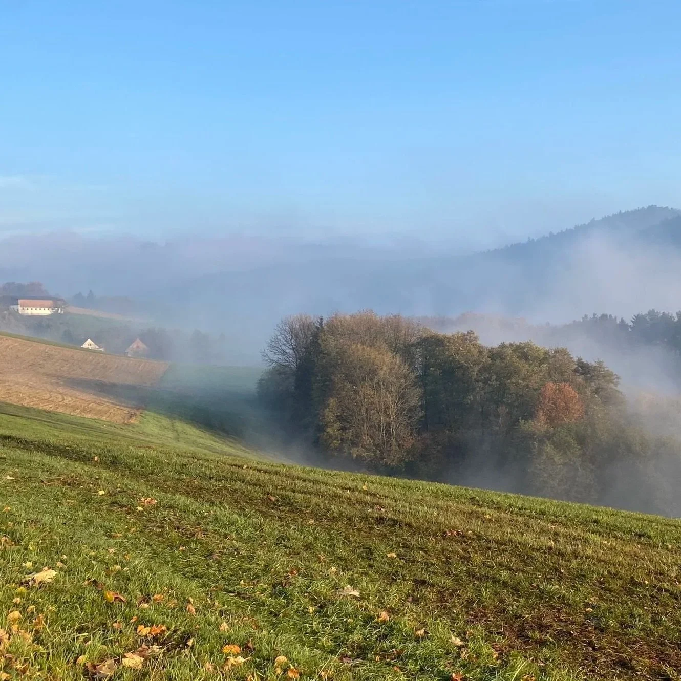 Landschaft mit Hügeln, Bäumen und Nebel im Tal, blauen Himmel und grünen Wiesen.