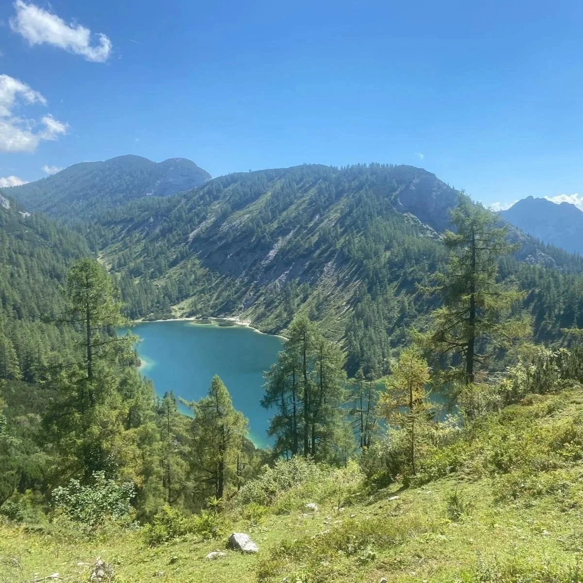 Ein Bergsee inmitten von bewaldeten Bergen unter klarem Himmel.
