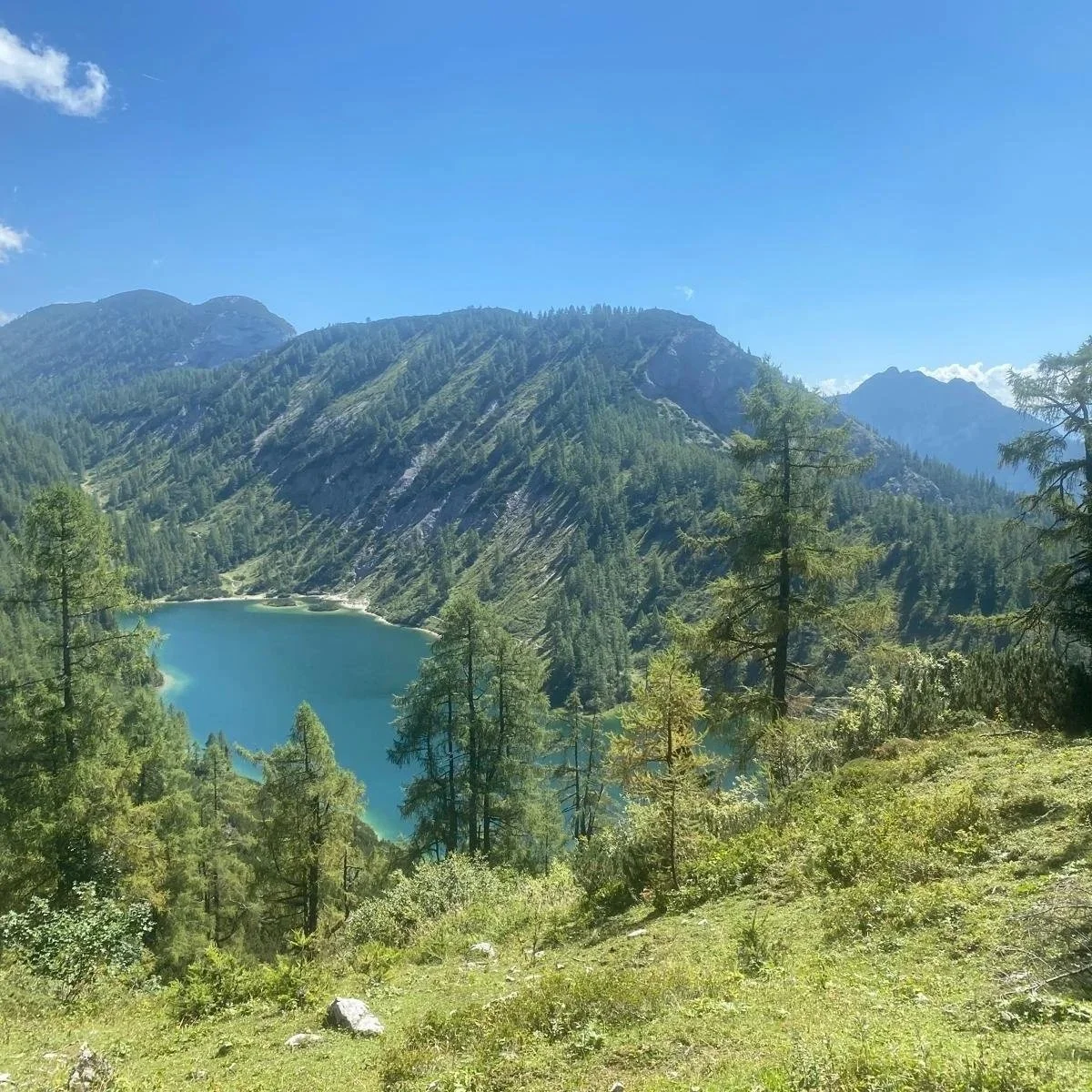Bergsee inmitten eines dichten Nadelwaldes in einer bergigen Landschaft bei sonnigem Himmel.