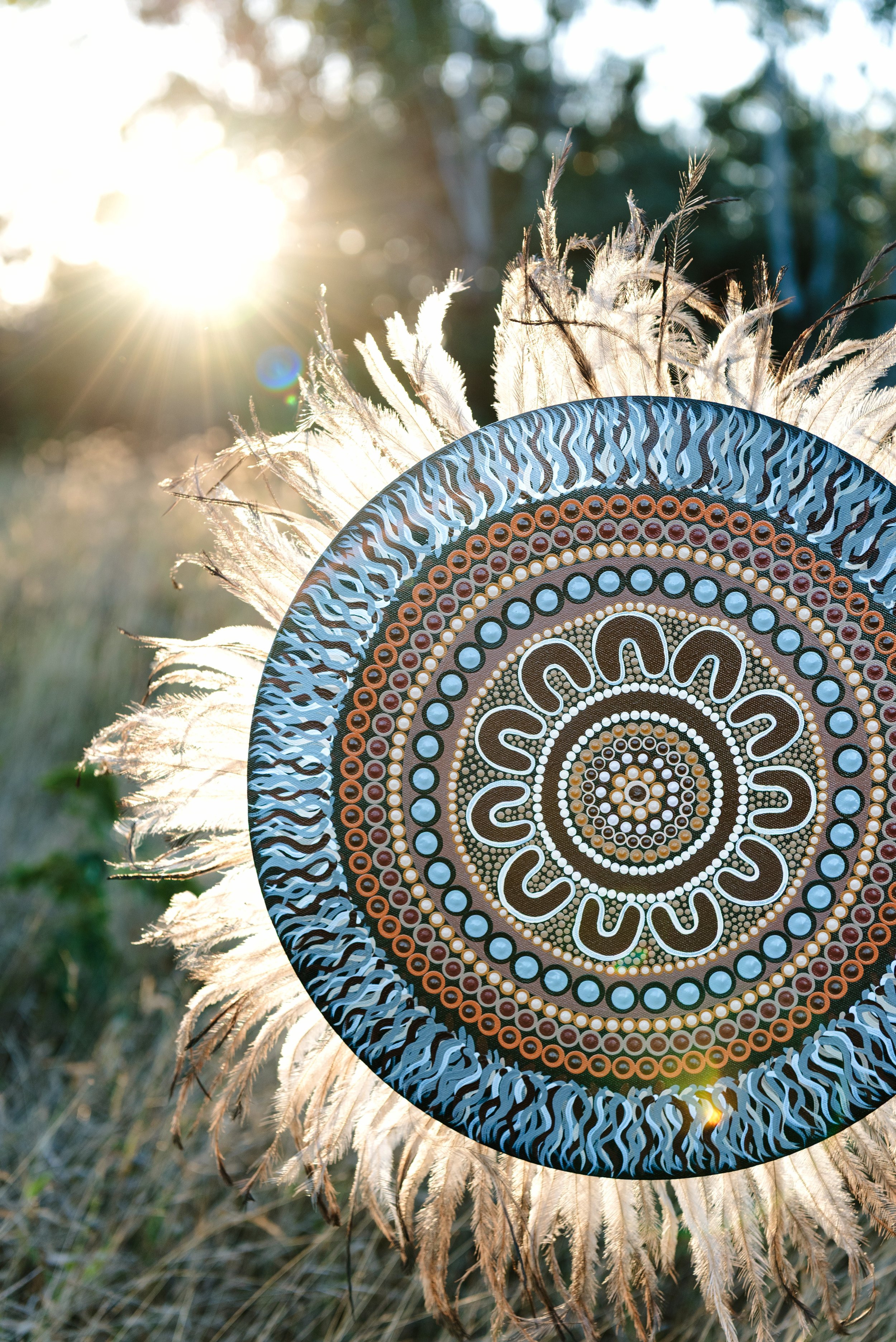 The Emu Eye
