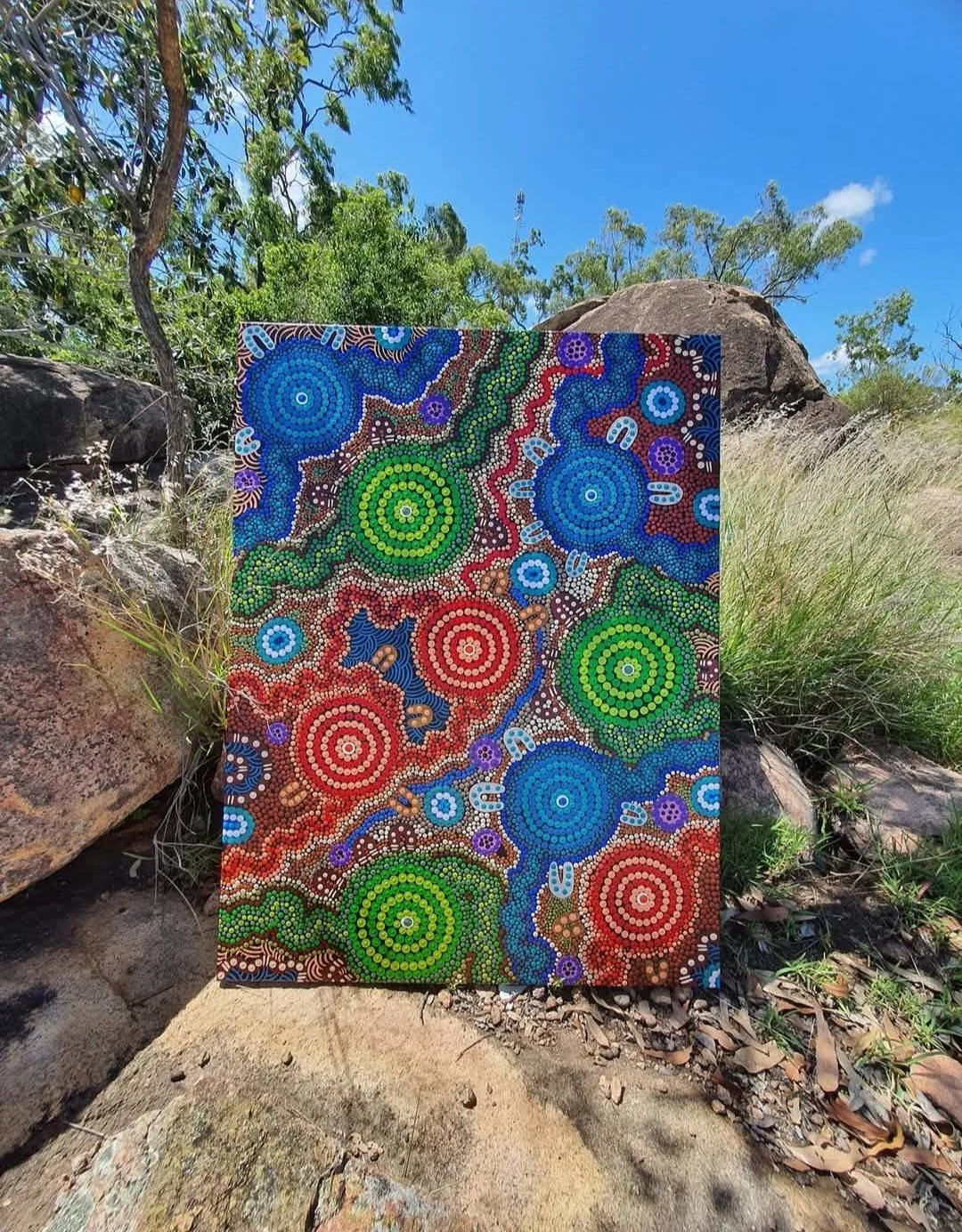 A colorful Aboriginal-style dot painting with concentric circles in blue, green, red, purple, and white, set outdoors among rocks and grass under a blue sky.