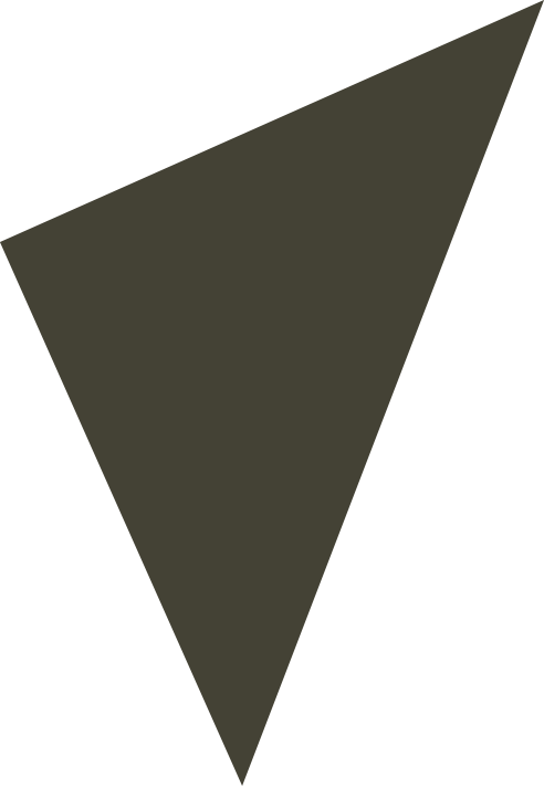 An irregular dark-colored triangle with sharp angles and uneven sides.
