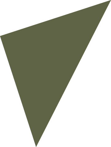 A large, irregularly shaped, olive green triangle with one smaller black triangle in the top right corner.