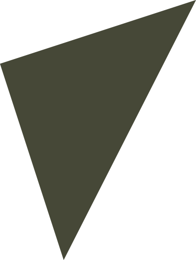 Large dark green triangle with a smaller triangle cut out from one corner