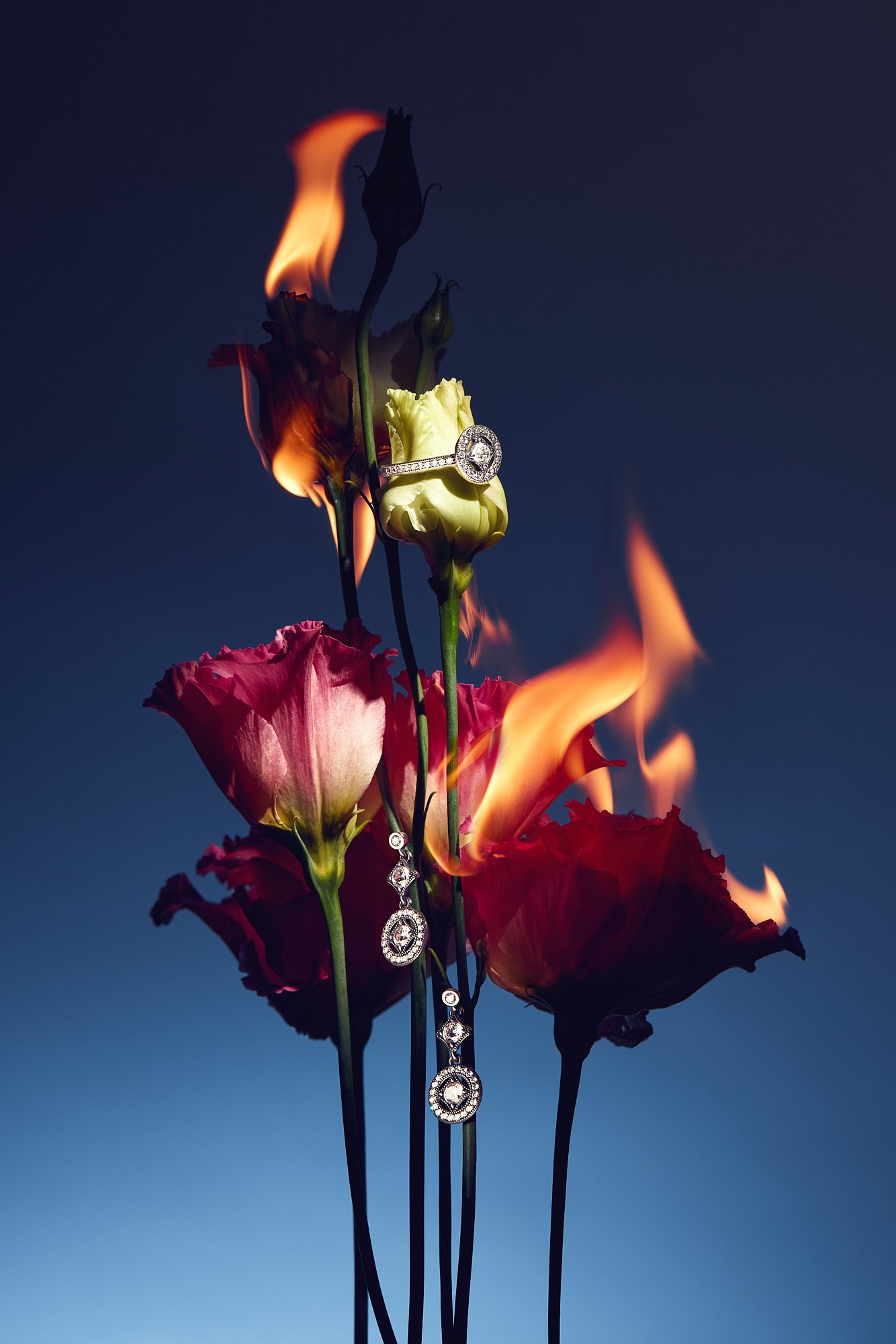 Fire burning on colorful flowers with a diamond ring hanging among the flames.