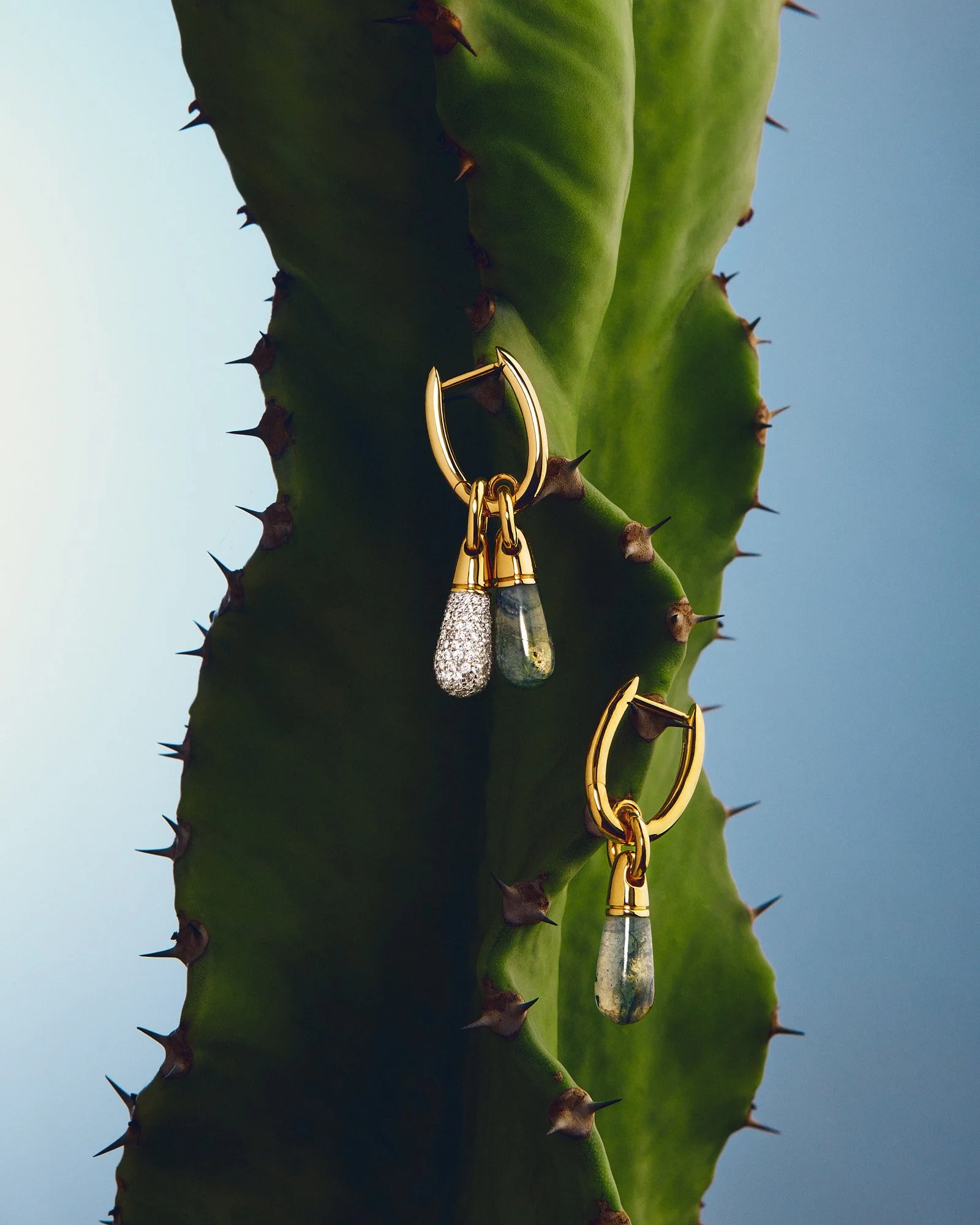A green cactus plant with brown thorns on a clear blue background, decorated with gold and silver pdpaola earrings hanging from the prickly pad.