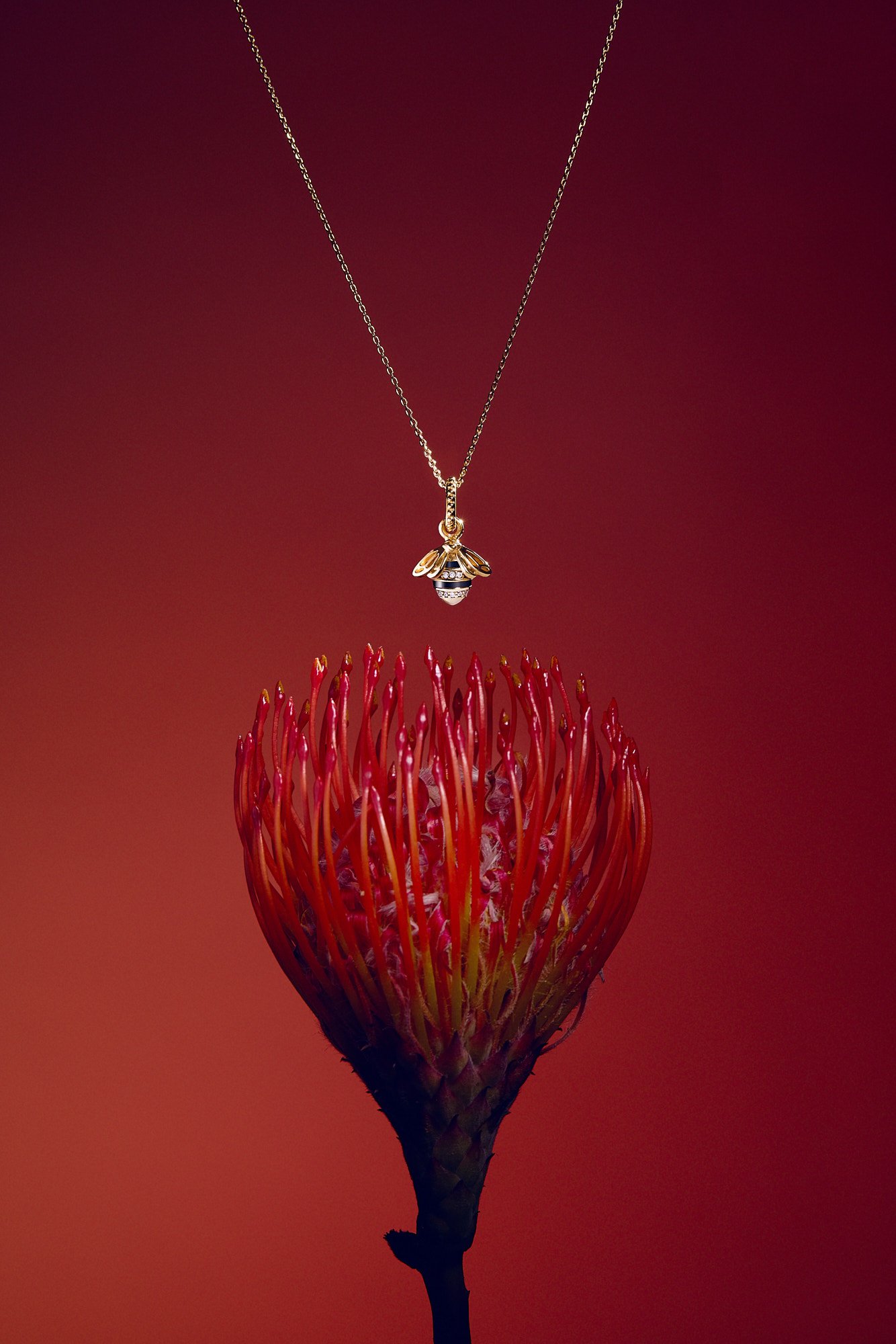 A necklace with a bee pendant hanging above a vibrant red flower with numerous elongated petals.
