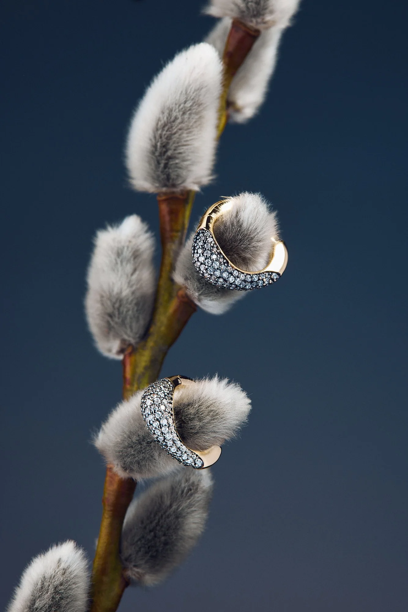 Close-up of trio of diamond-studded gold rings hanging on fluffy cotton boll on a branch, against a dark background.