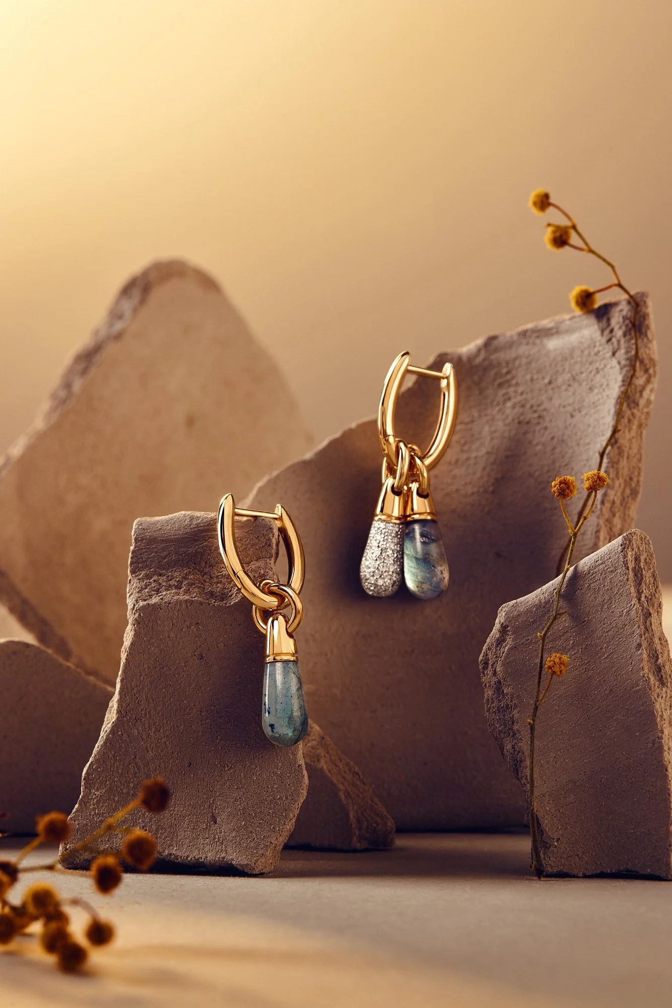Gold pdpaola hoop earrings with teardrop-shaped pendants hanging on textured rocks with small yellow flowers in the background.