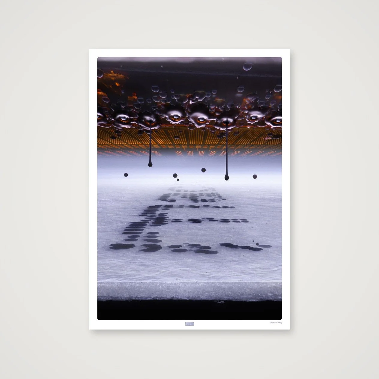shot_table_9f1f3472_47fb8725.jpg