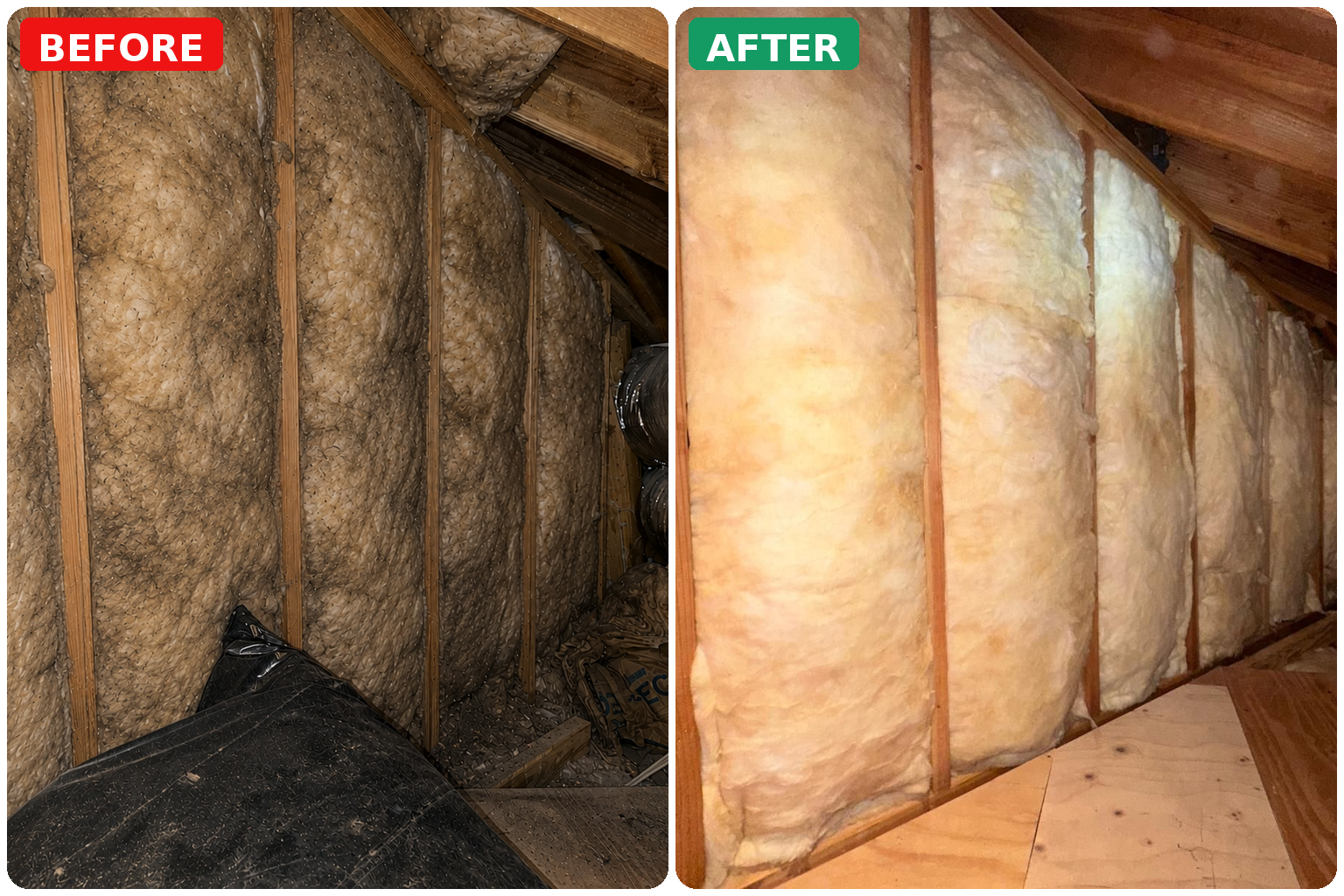 Before and after insulation replacement showing old wall insulation removed and replaced with new fiberglass batts insulation.
