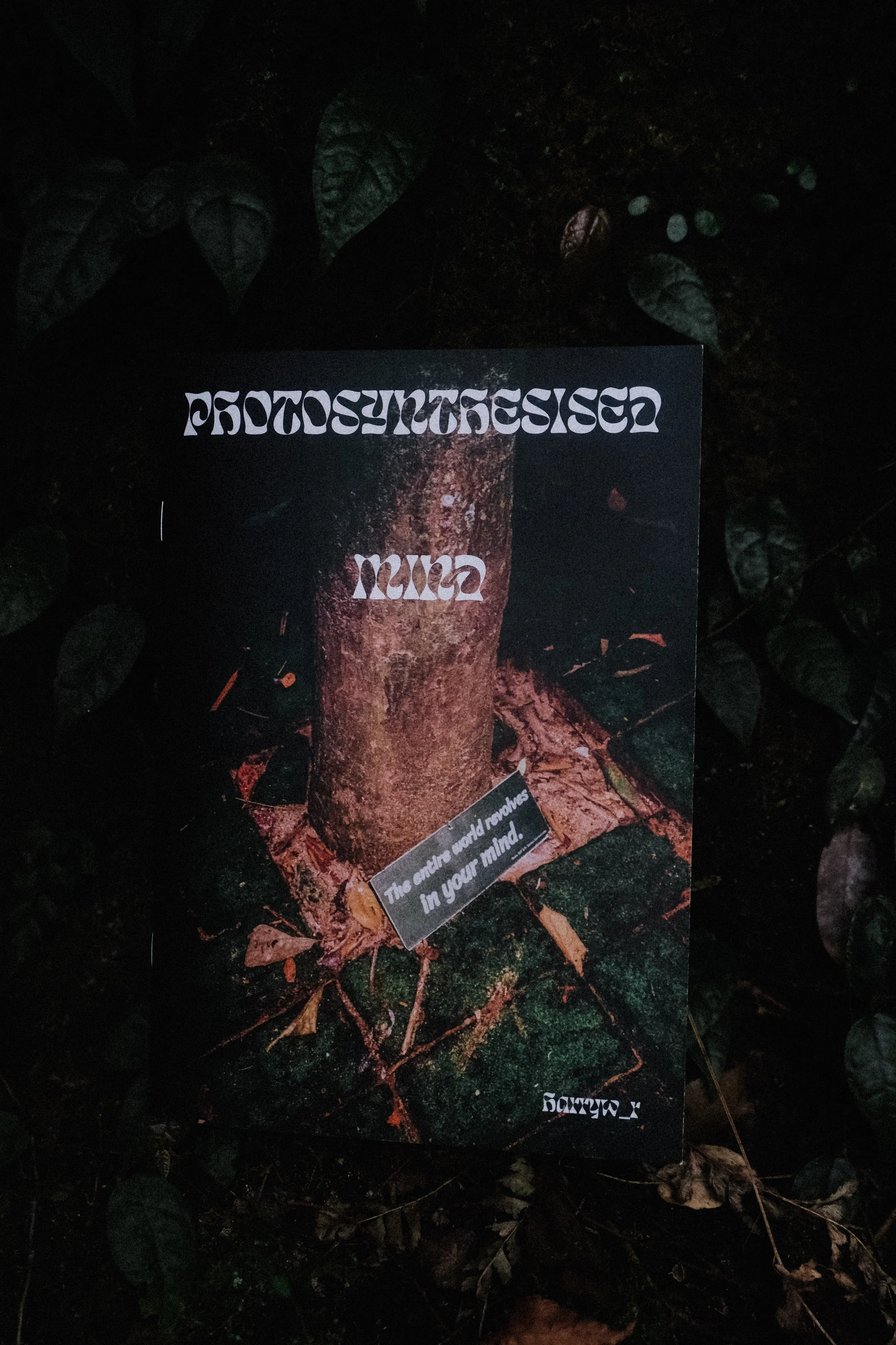 Photosynthesised Mind Zine