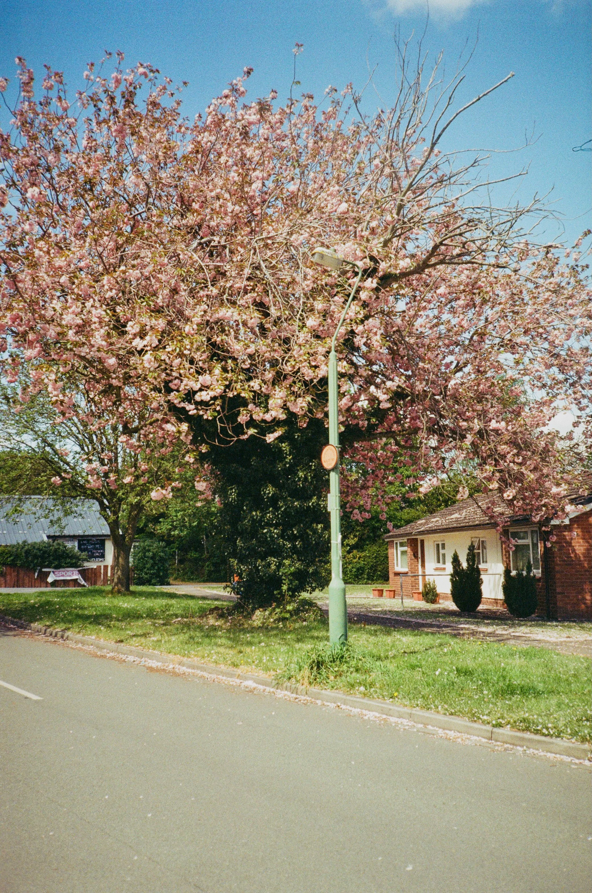 IMG_6442.jpeg