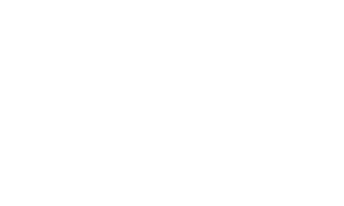 logo-naish.png
