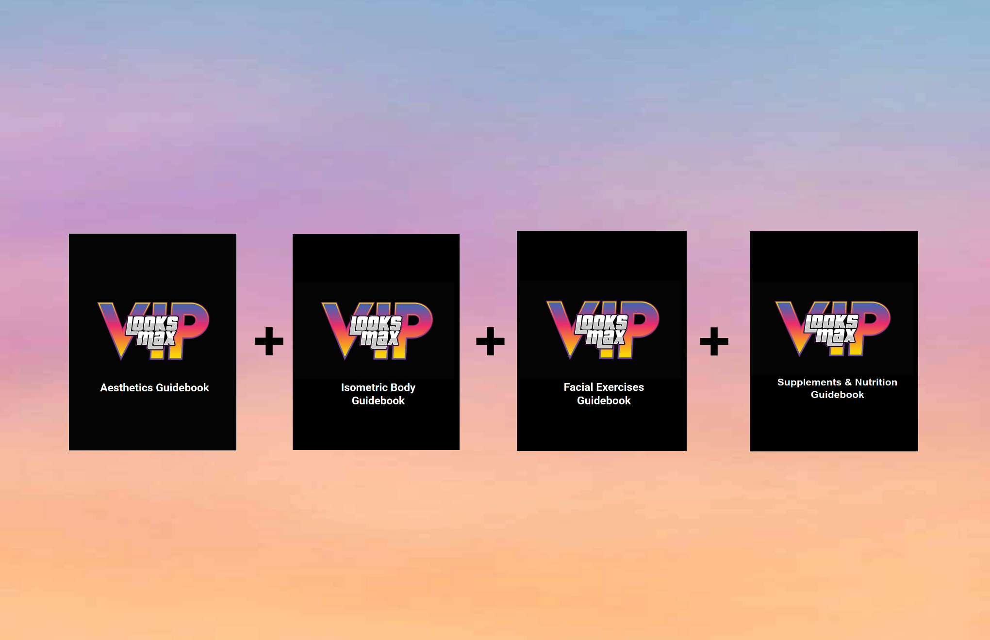 Aesthetic Guidebooks (Bundle)