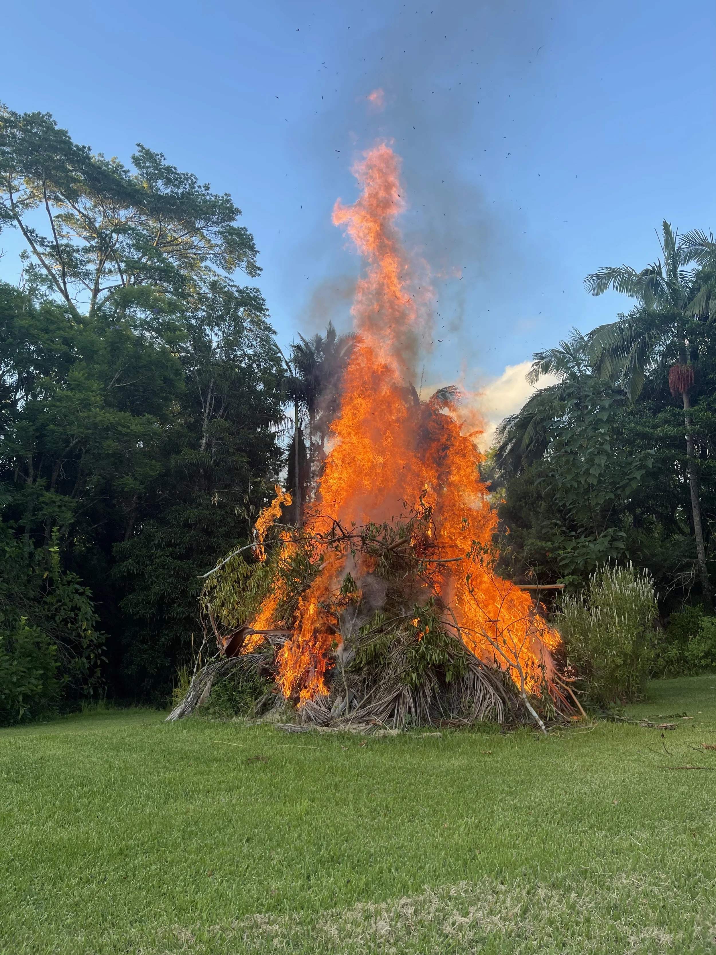 A pile of branches and leaves on fire in a grassy area, surrounded by trees and a clear blue sky.