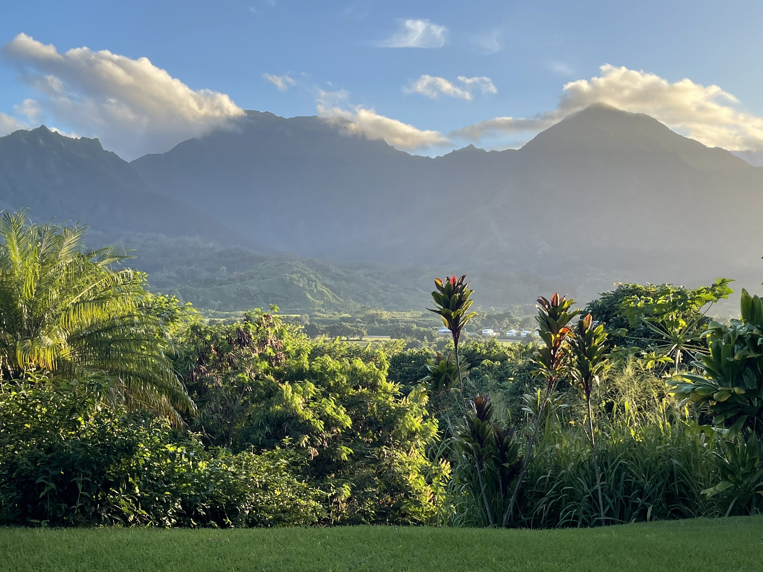 A lush green landscape with various tropical plants and trees, set against a backdrop of tall mountains partially covered by clouds and a bright blue sky with scattered clouds.