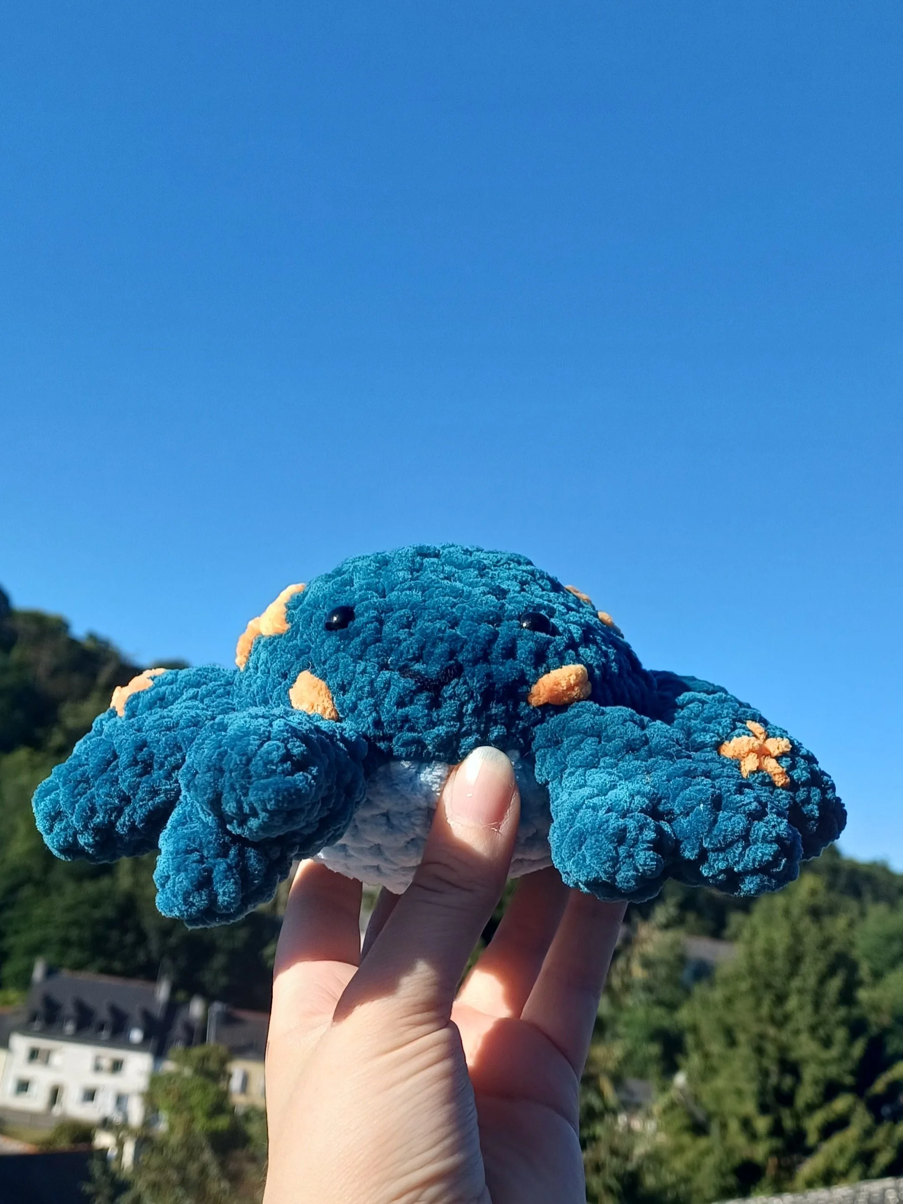 Crabe au Crochet