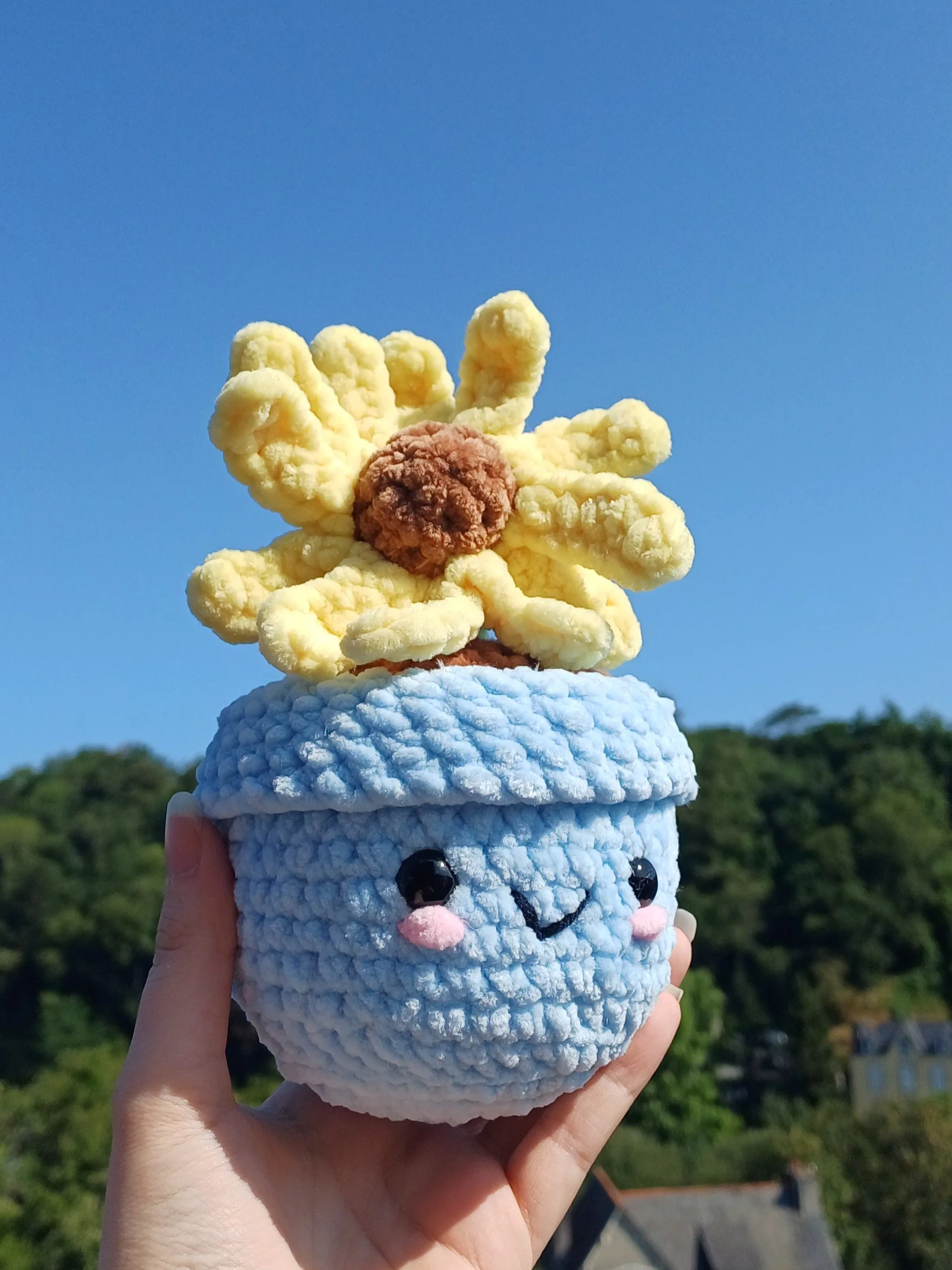 Tournesol en Pot