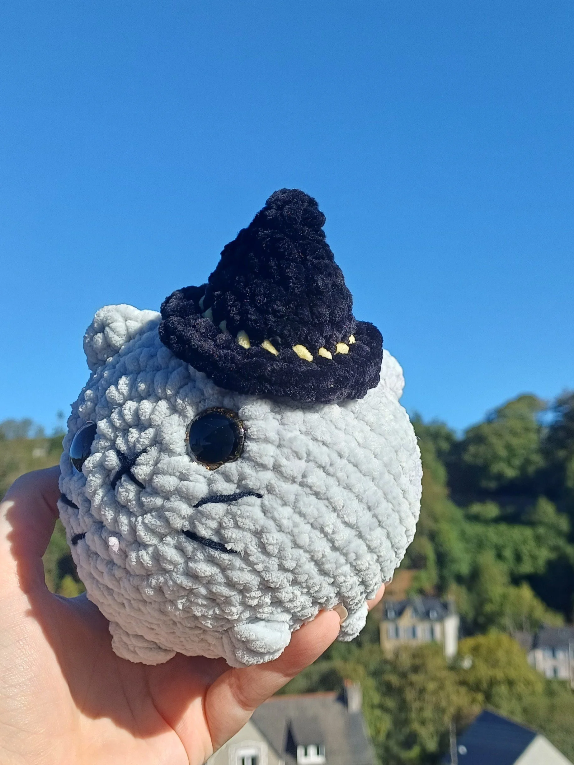 20260922_112036.jpg