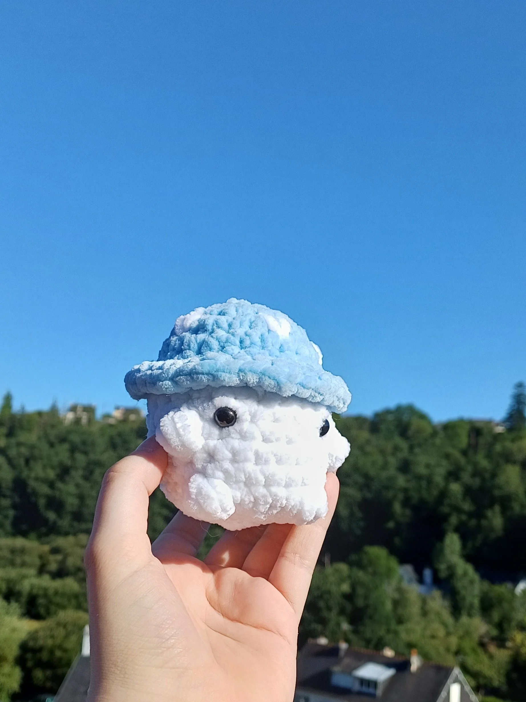 Champignon Crochet
