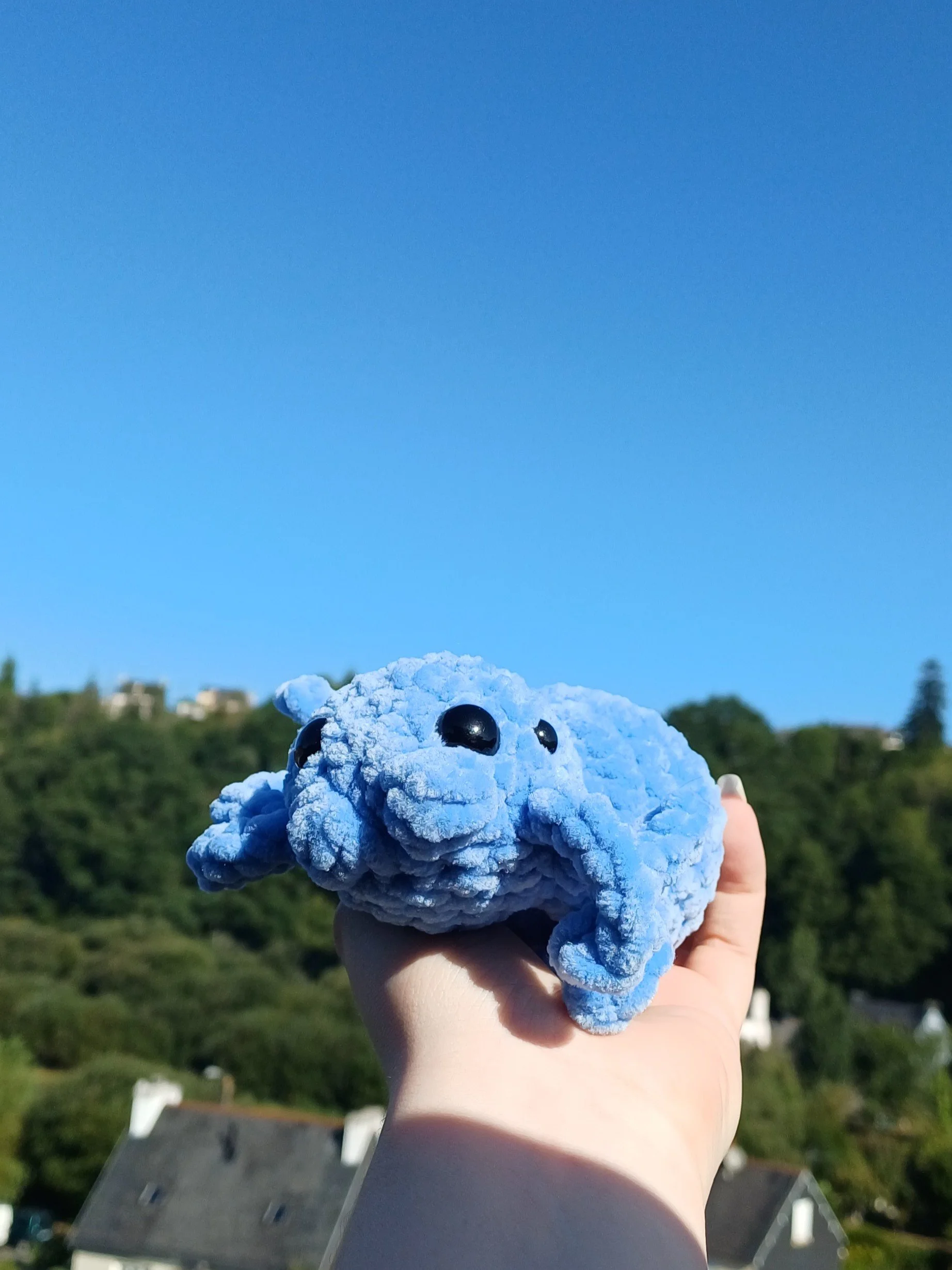20260809_104119.jpg