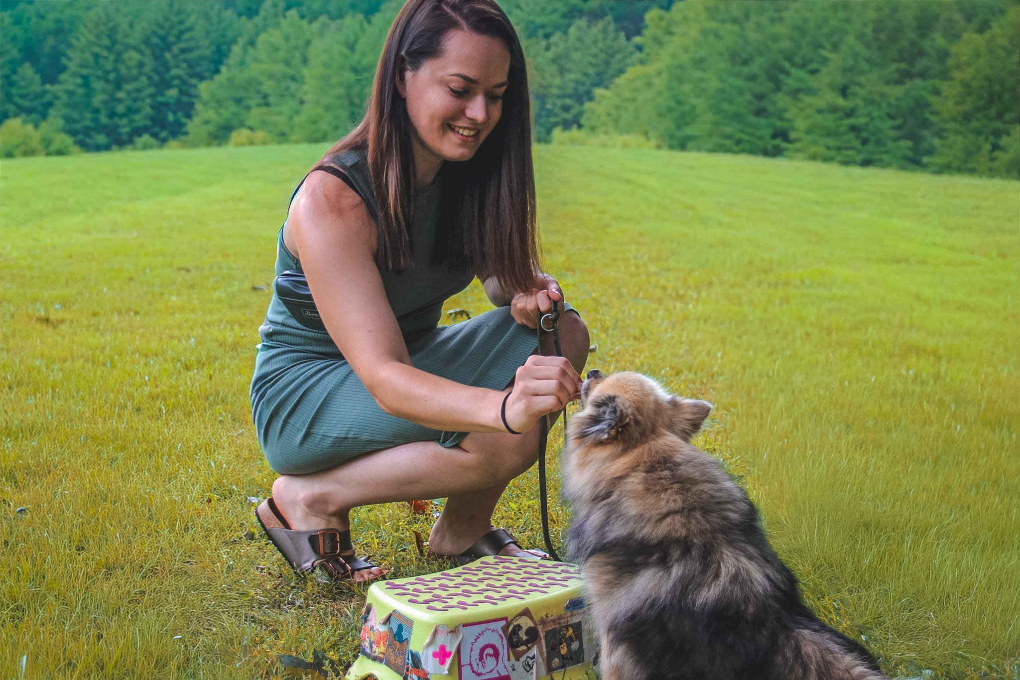 Eine junge Frau mit braunem Haar, die auf dem Boden im Grünen sitzt und einen Hund streichelt