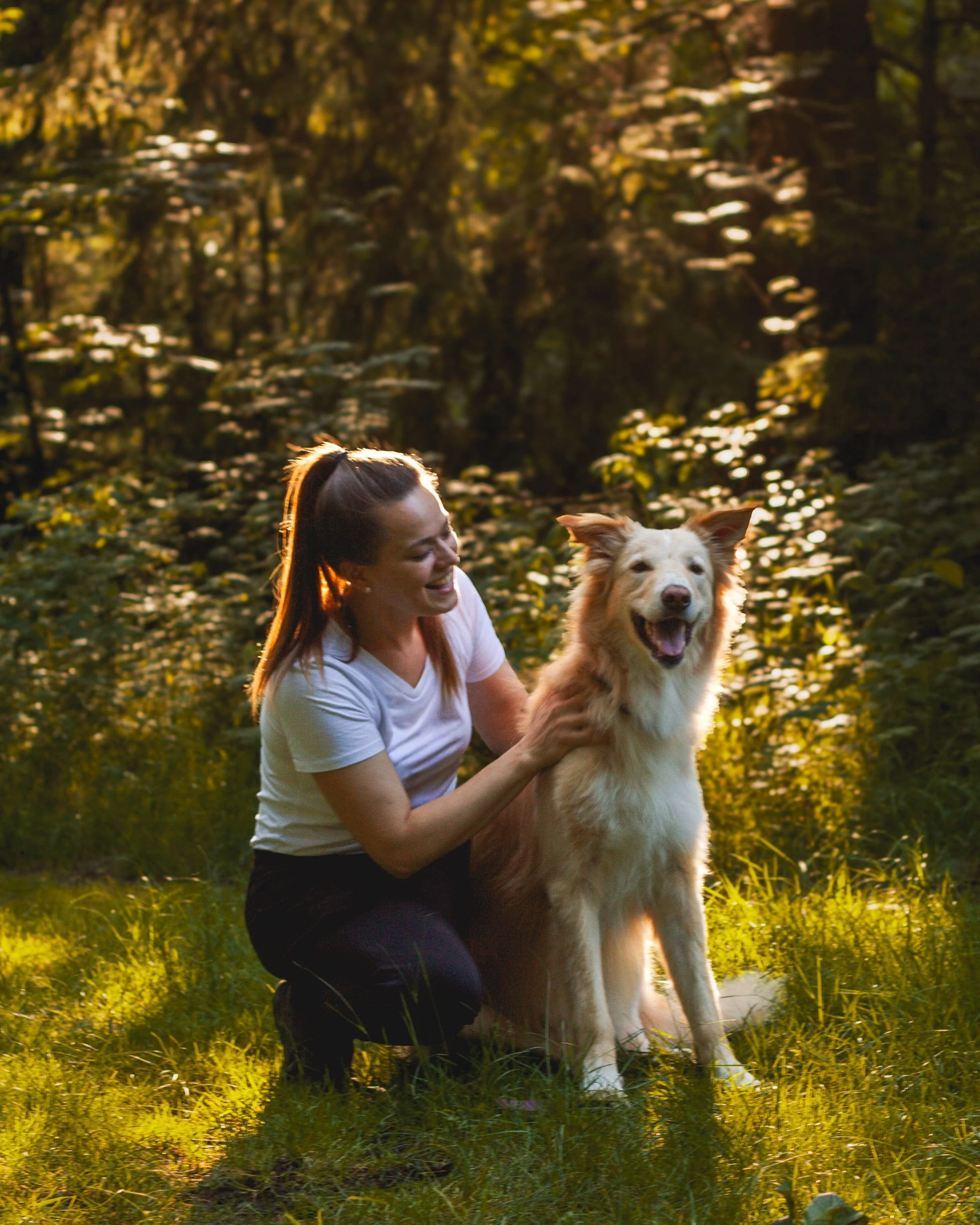 Eine Frau und ein Hund im Sonnenuntergang im Grünen.