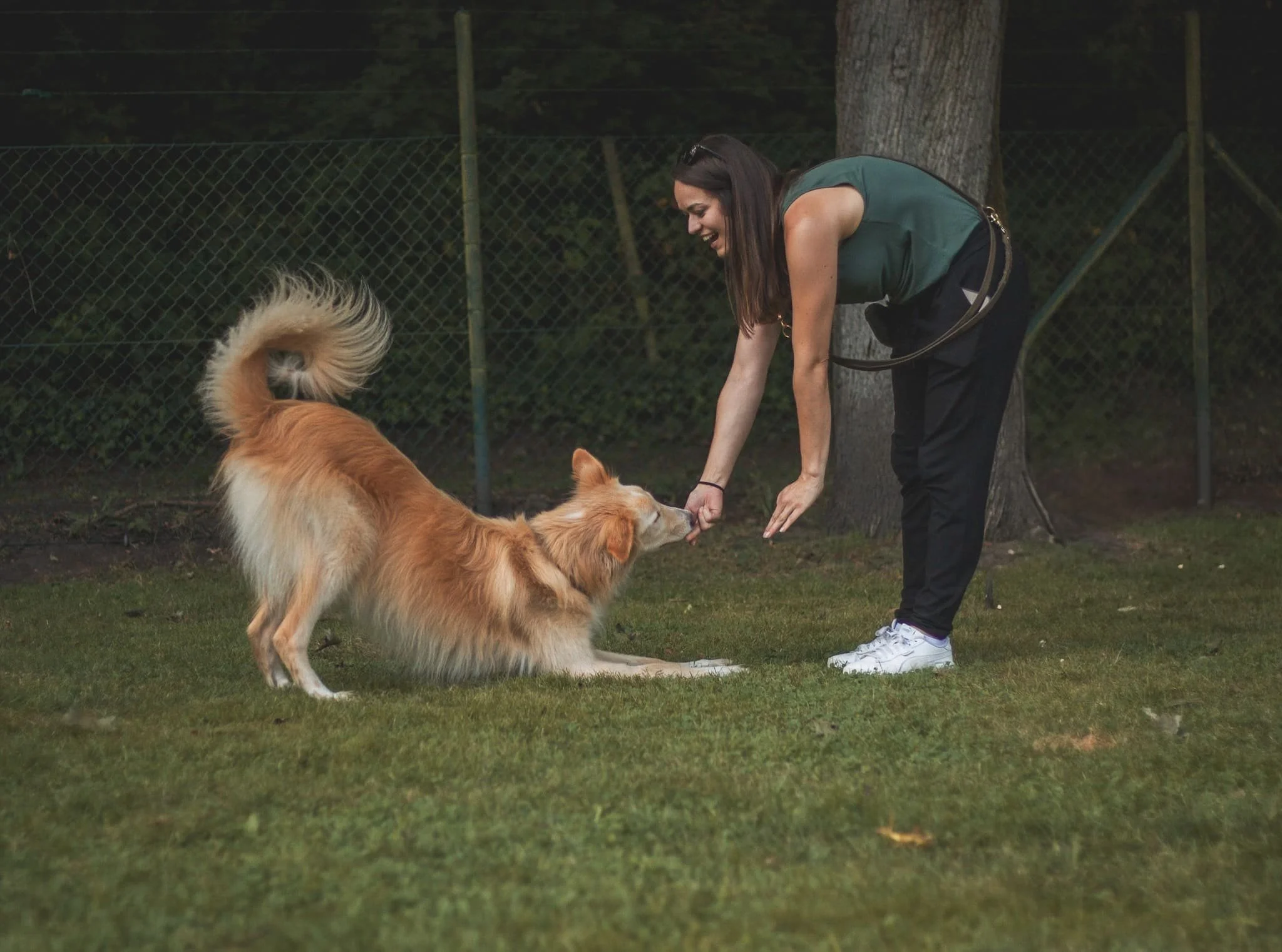 Frau mit Hund fröhlich am Tricksen