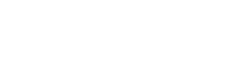 Bold, black text spelling 'BOLZ' in capital letters.