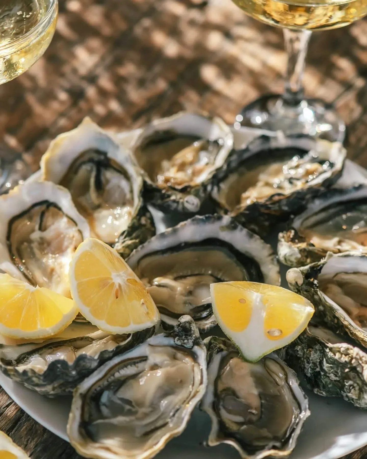 Ostriche &amp; Champagne da 3BriEn! 🥂🦪
Ancora disponibili per l&rsquo;acquisto diretto o per un aperitivo da gustare in loco.

Vieni a vivere l&rsquo;aperitivo perfetto da 3BriEn! Ti aspettiamo dalle 10.30 🥂