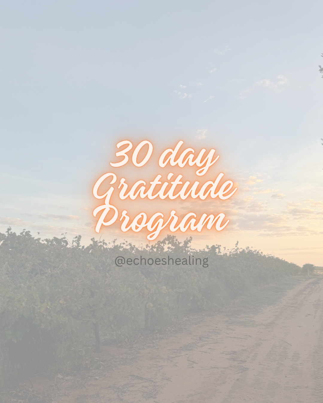 CLICK HERE FOR GRATITUDE PROGRAM