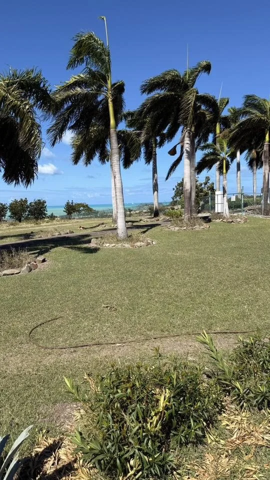 Image 61.jpeg