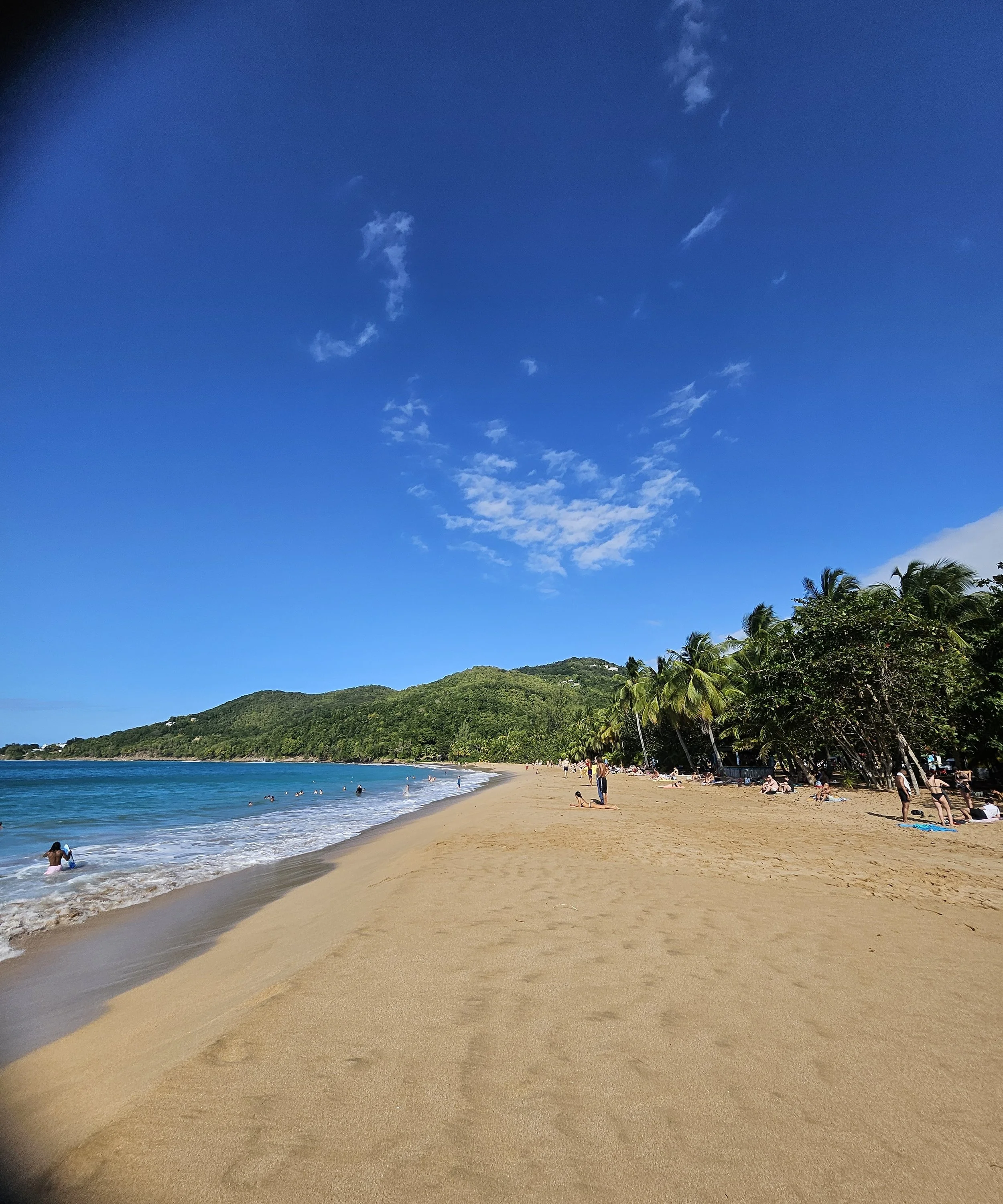 GUA06 20250111_150518.jpg