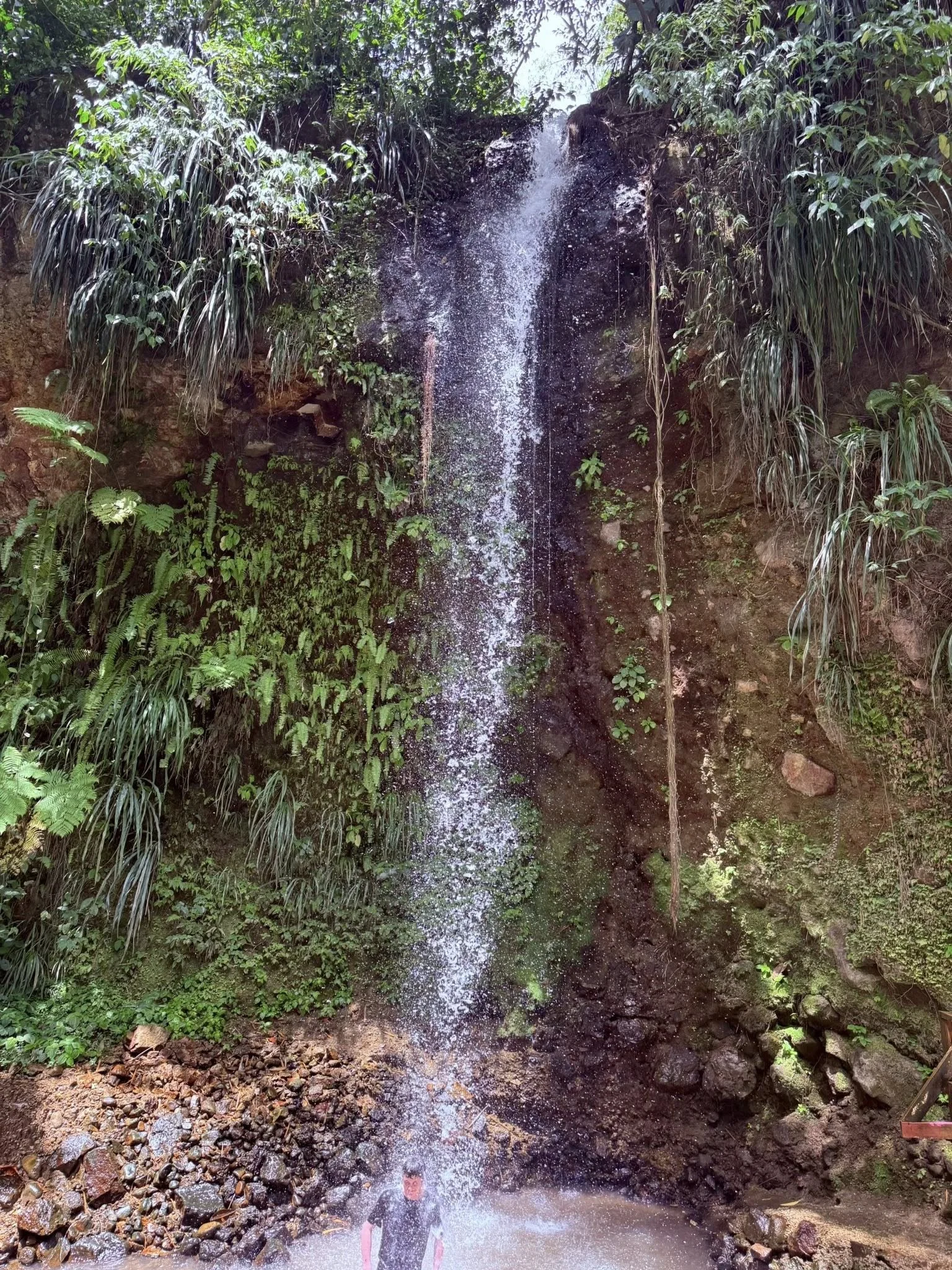 Image 172.jpeg