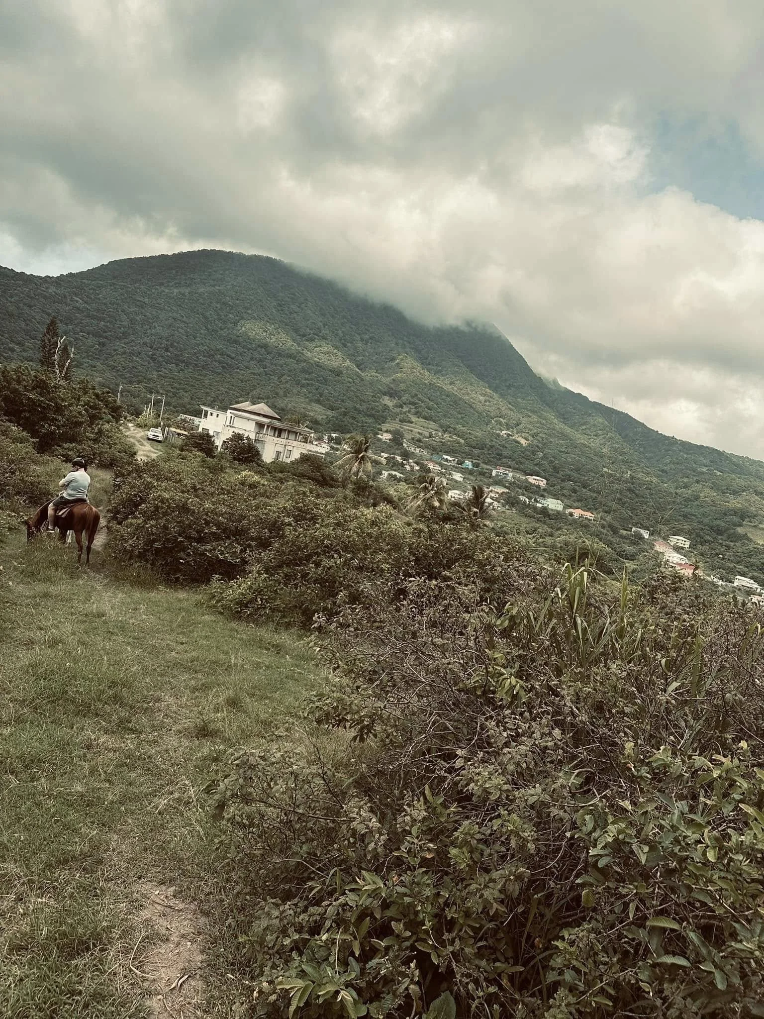 Image 71.jpeg