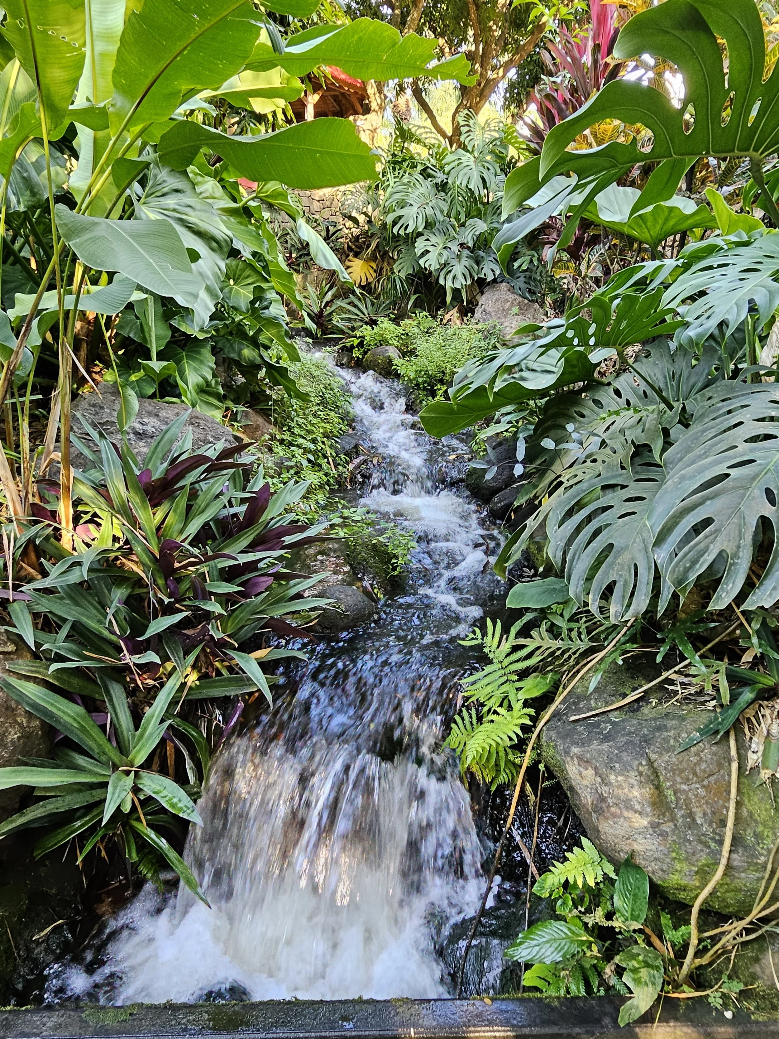 GUA06 20250111_160225.jpg