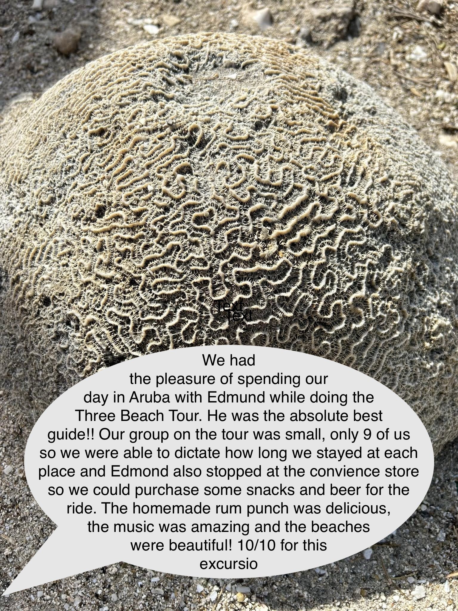 Image 112.jpeg