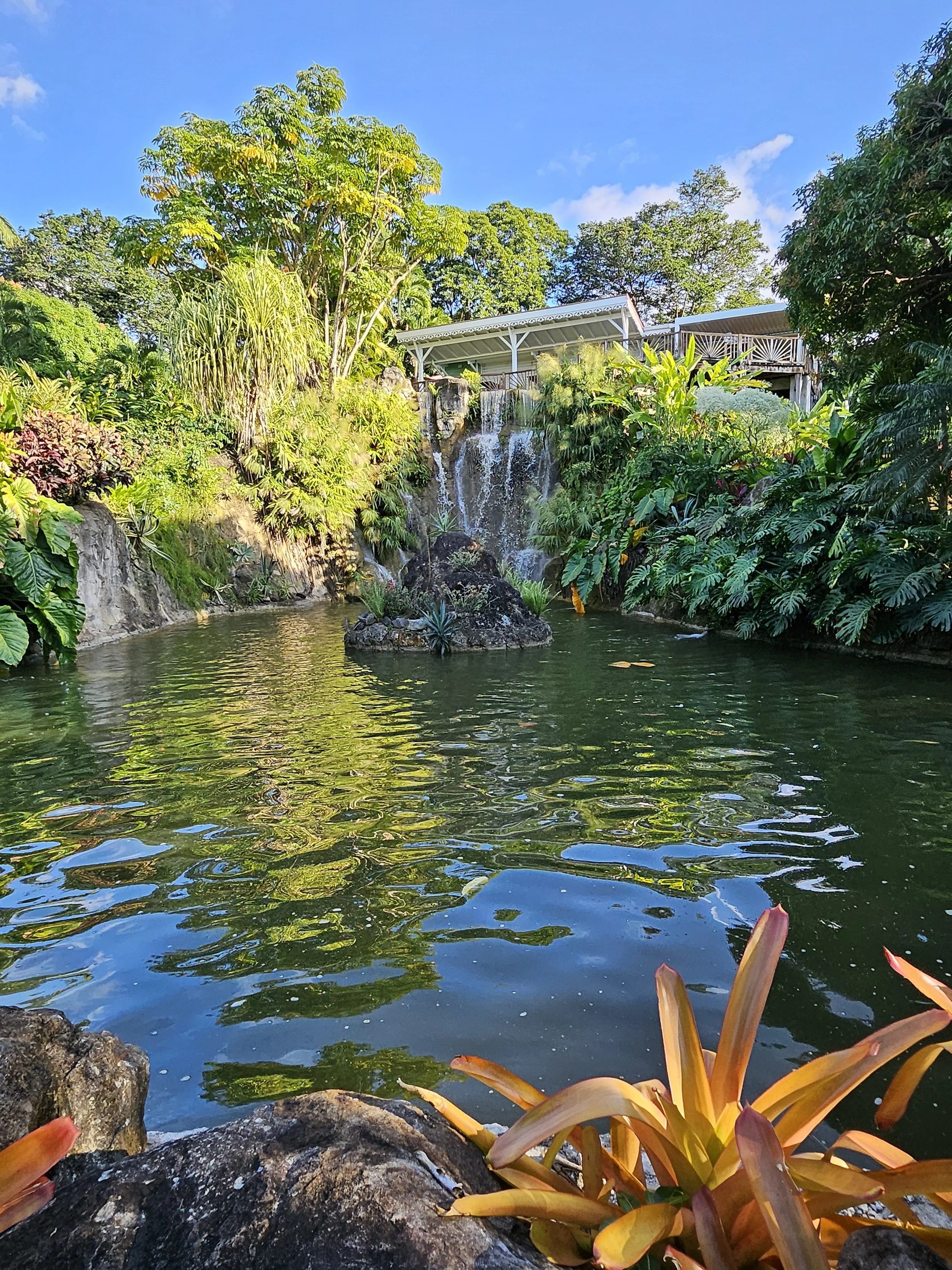 GUA06 20250111_155817.jpg