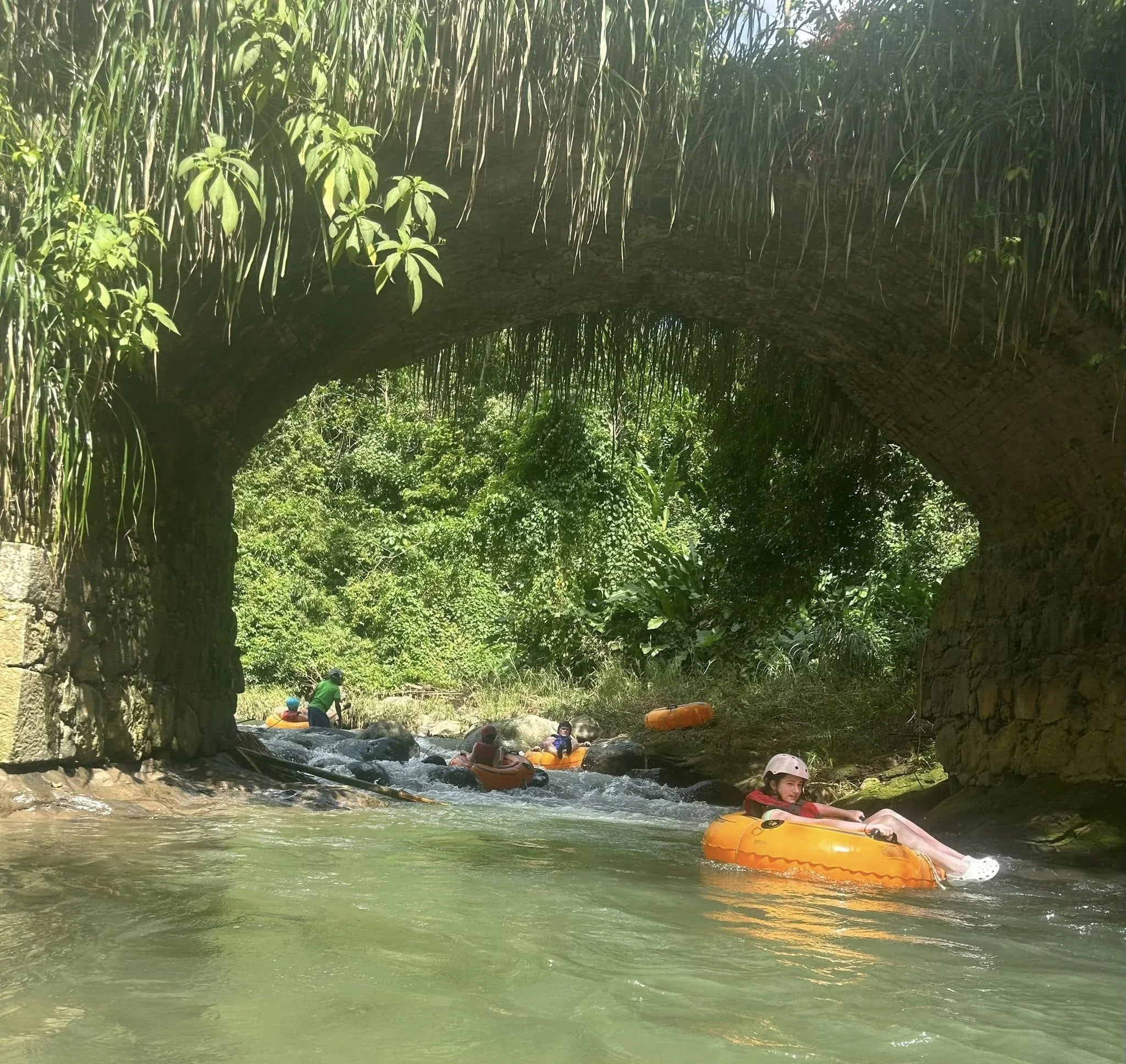 Image 62.jpeg