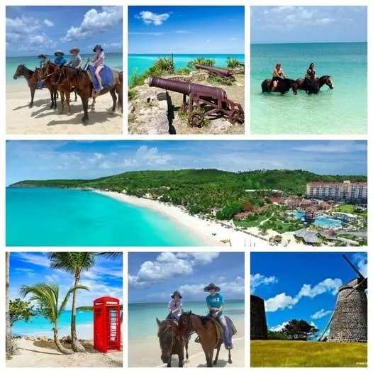 Antigua Dickenson Horseriding