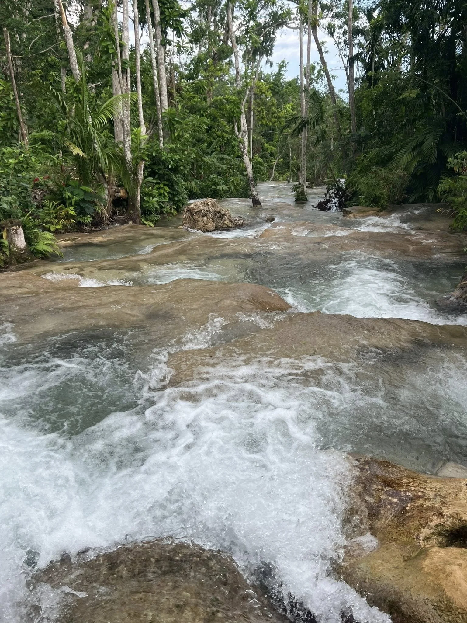 Image 159.jpeg