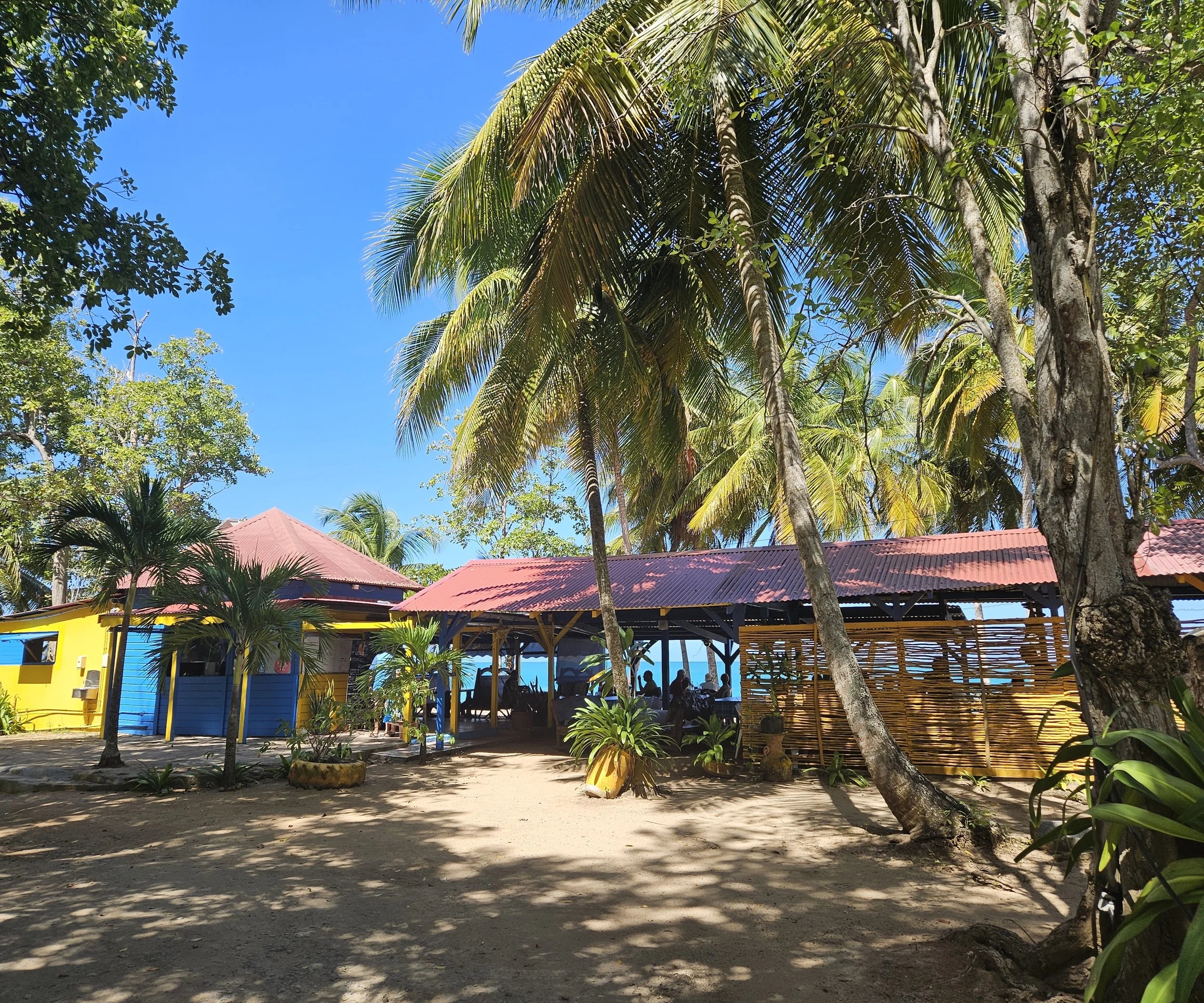 GUA06 20260204_122158.jpg